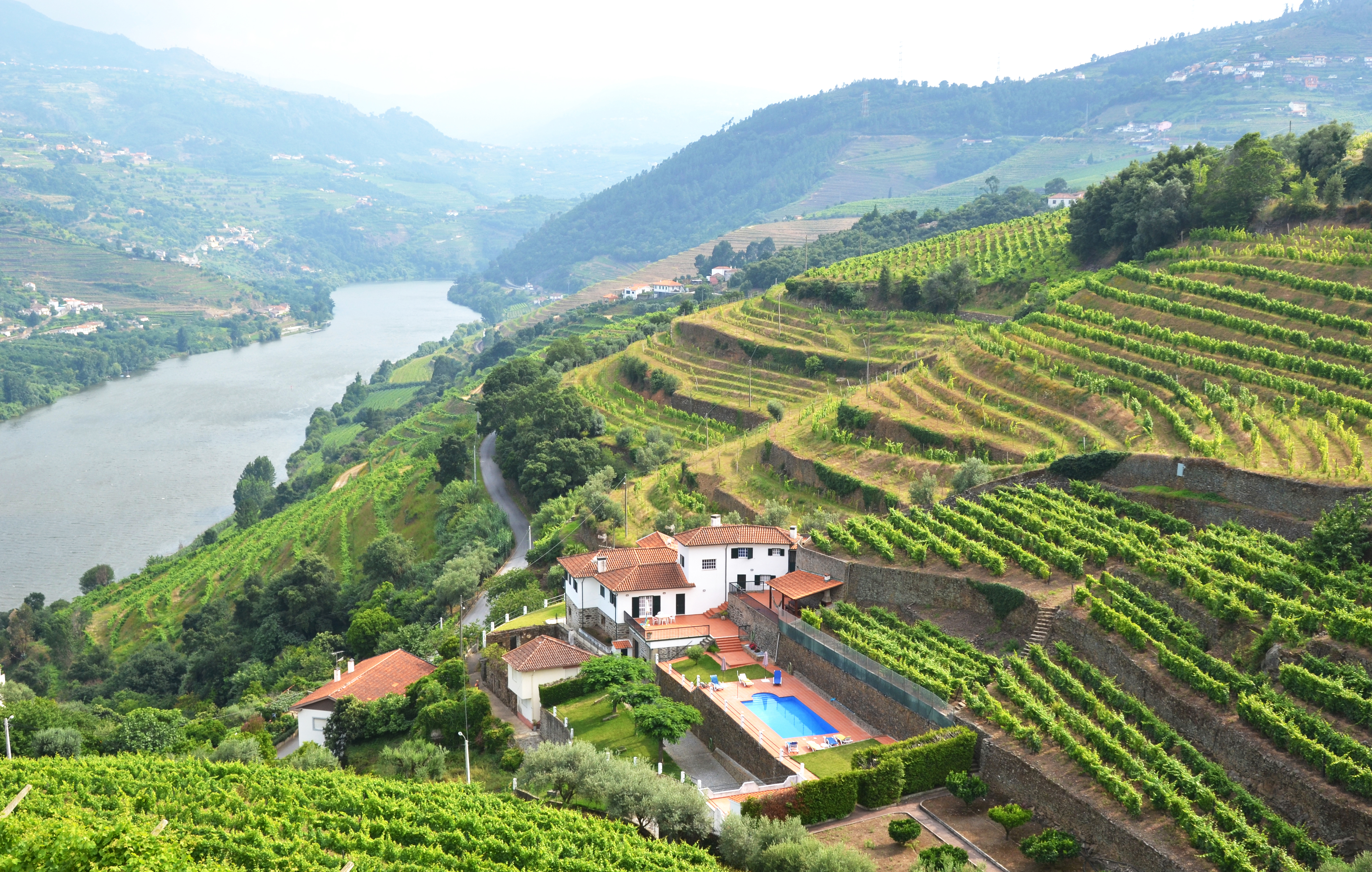 Fantastisk udsigt over terrasserede vinmarker og Douro-floden i Portugal med en charmerende hvid vingårdsejendom og swimmingpool