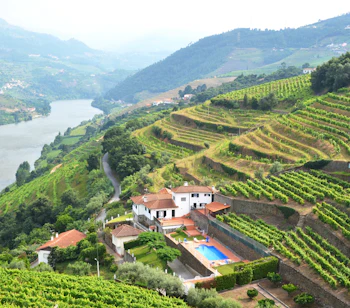 Fantastisk udsigt over terrasserede vinmarker og Douro-floden i Portugal med en charmerende hvid vingårdsejendom og swimmingpool