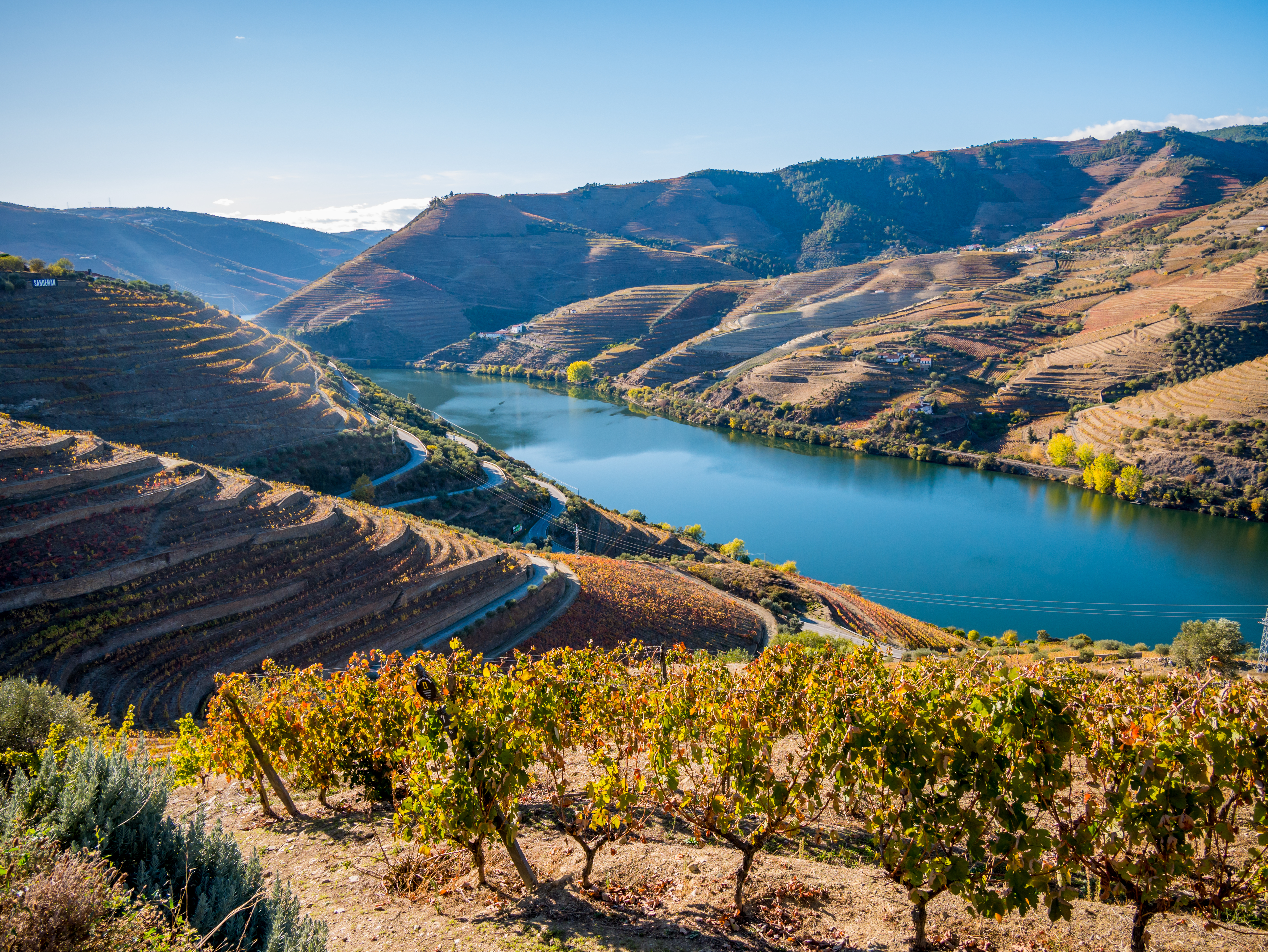 Malerisk landskab med terrasserede vinmarker langs Douro-floden i Portugal
