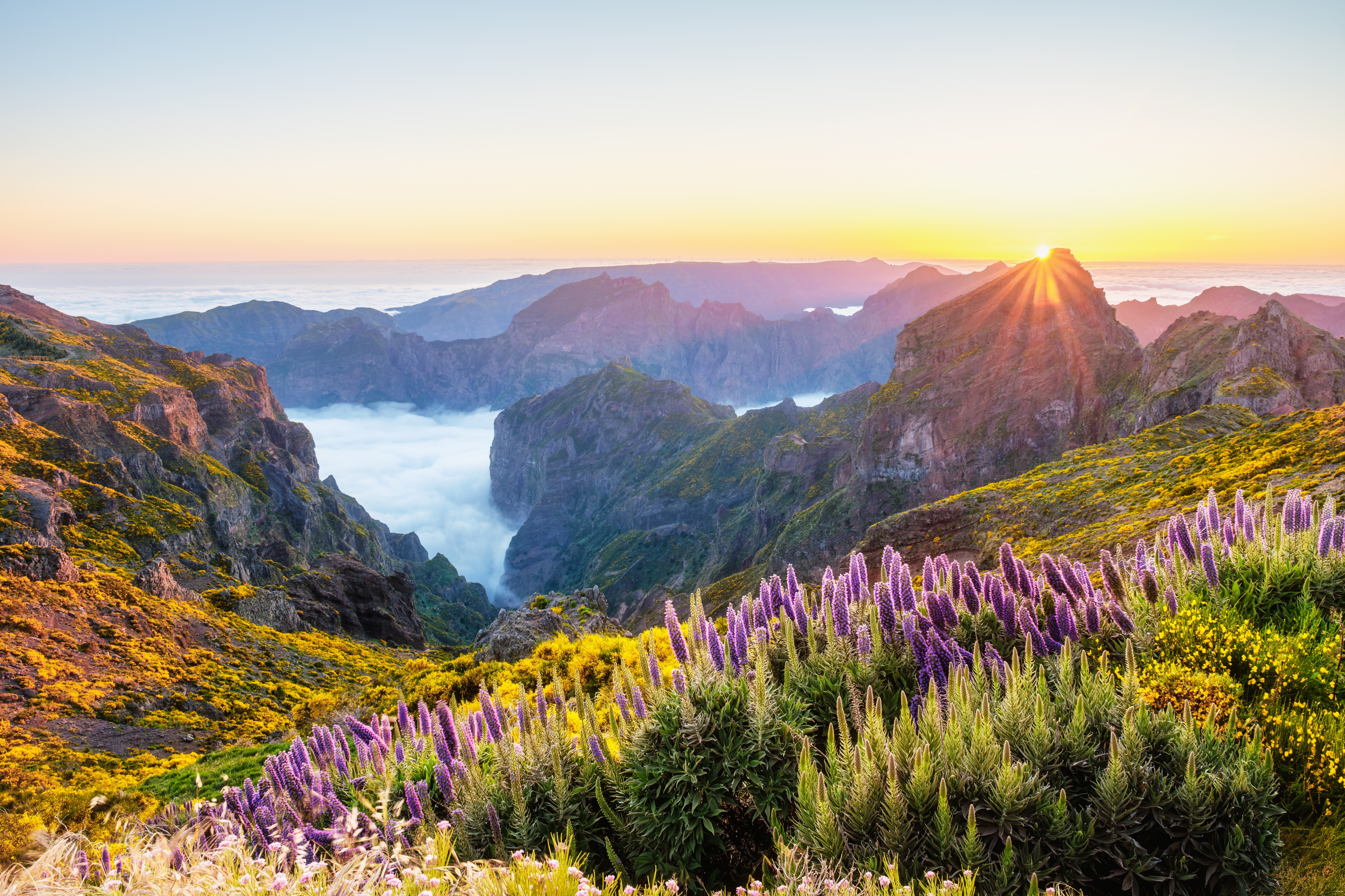 Naturskøn solnedgang over bjerglandskabet på Madeira med lilla og gule vilde blomster i forgrunden og bjerge der tårner sig op over skyerne