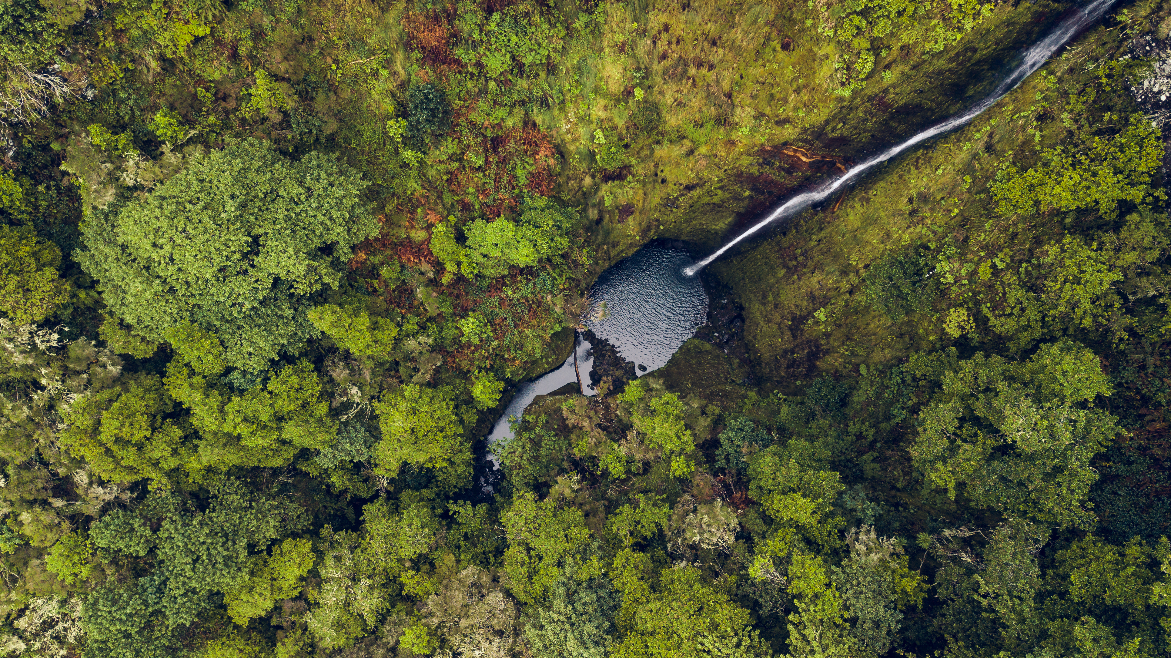 Naturskønt vandfald gennem frodig regnskov fotograferet ovenfra på Madeira Portugal