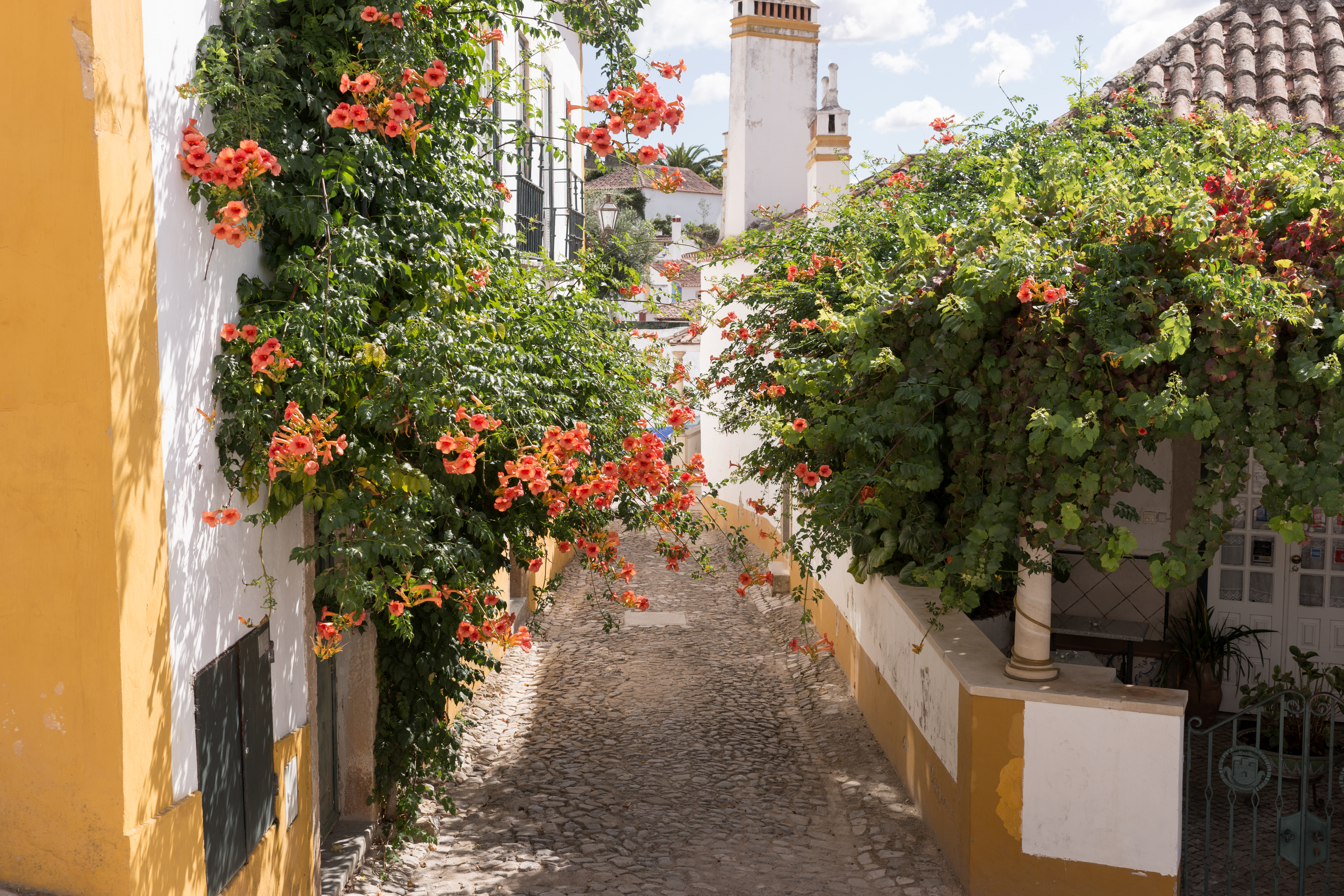 Romantisk brolagt gade omgivet af blomstrende planter i Obidos, Portugal