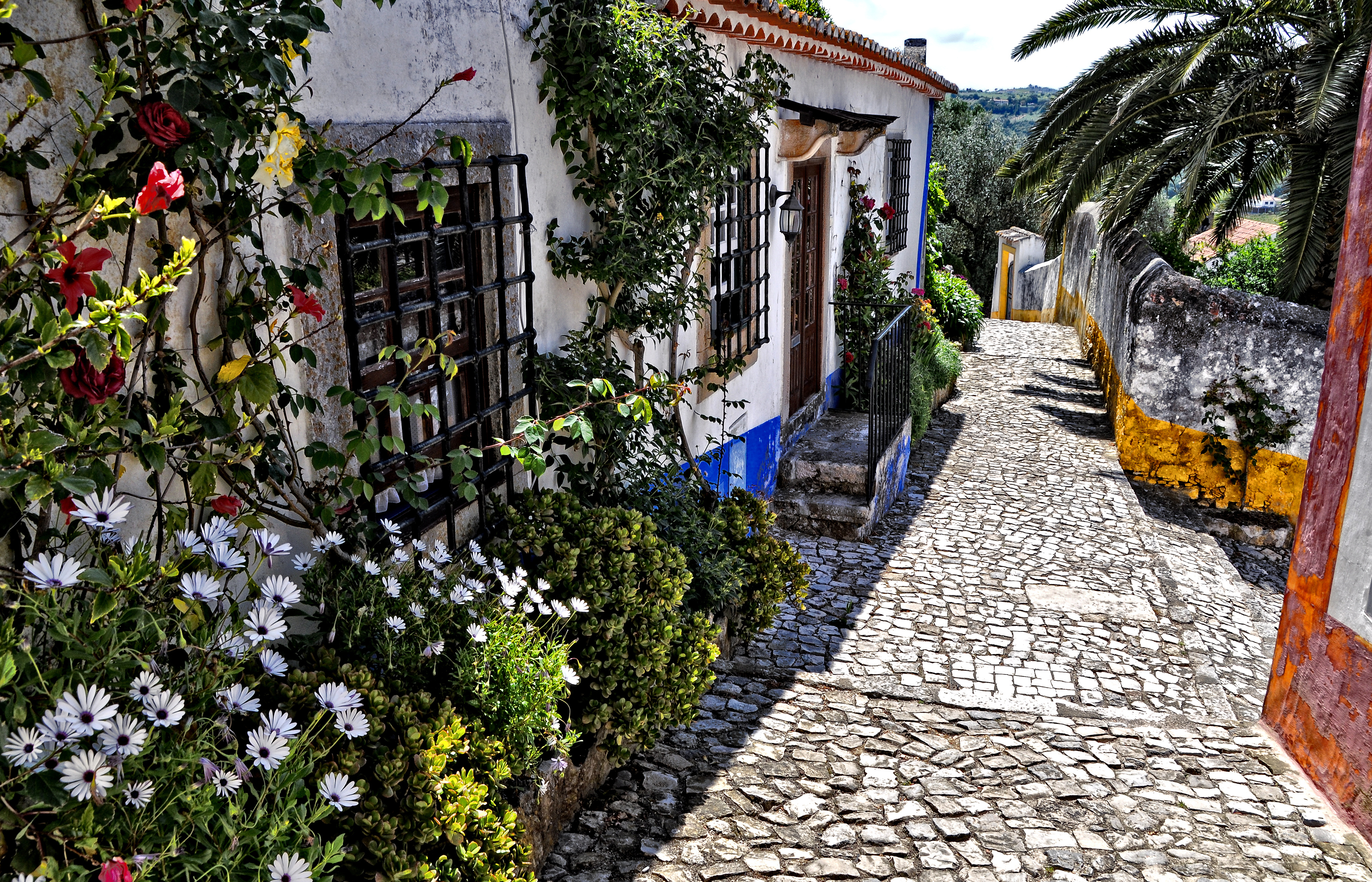 Traditionel portugisisk arkitektur med hvidkalkede huse langs brolagte gade i turistbyen Obidos