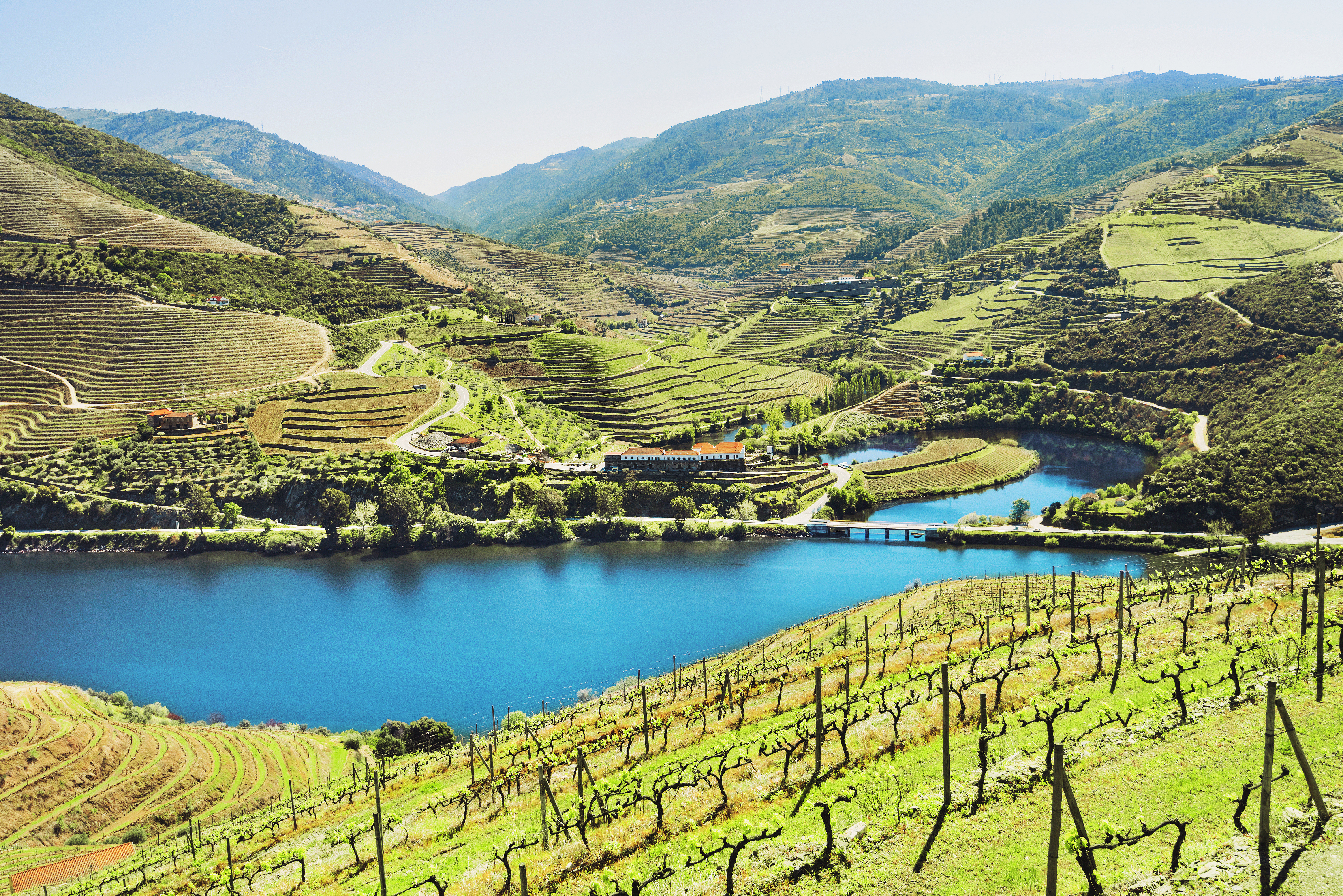 Smuk portugisisk vinregion med terrasserede marker i det grønne Douro dalområde