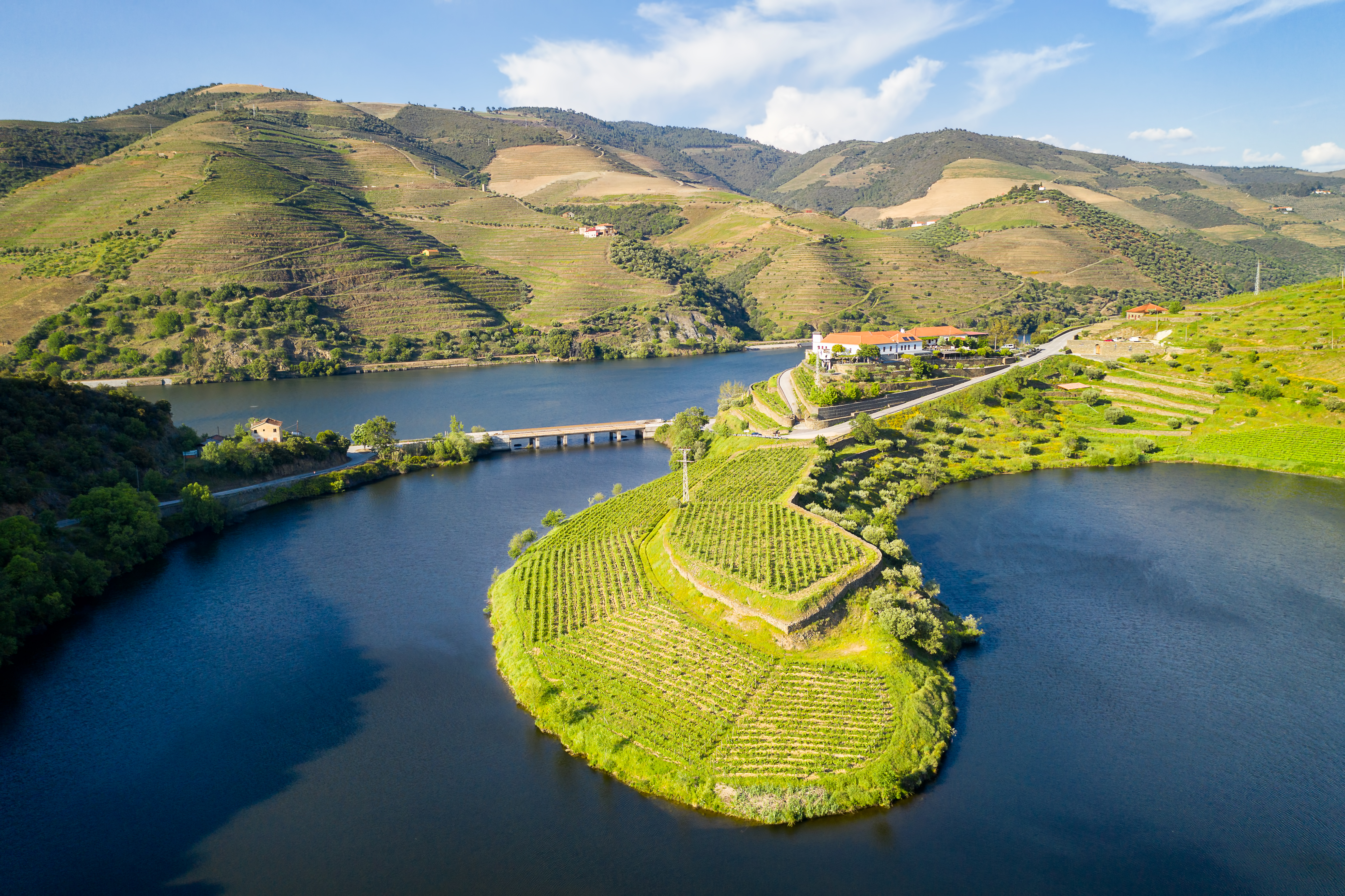 Luftfoto af Douro-flodens vingaarde og karakteristiske flodsving