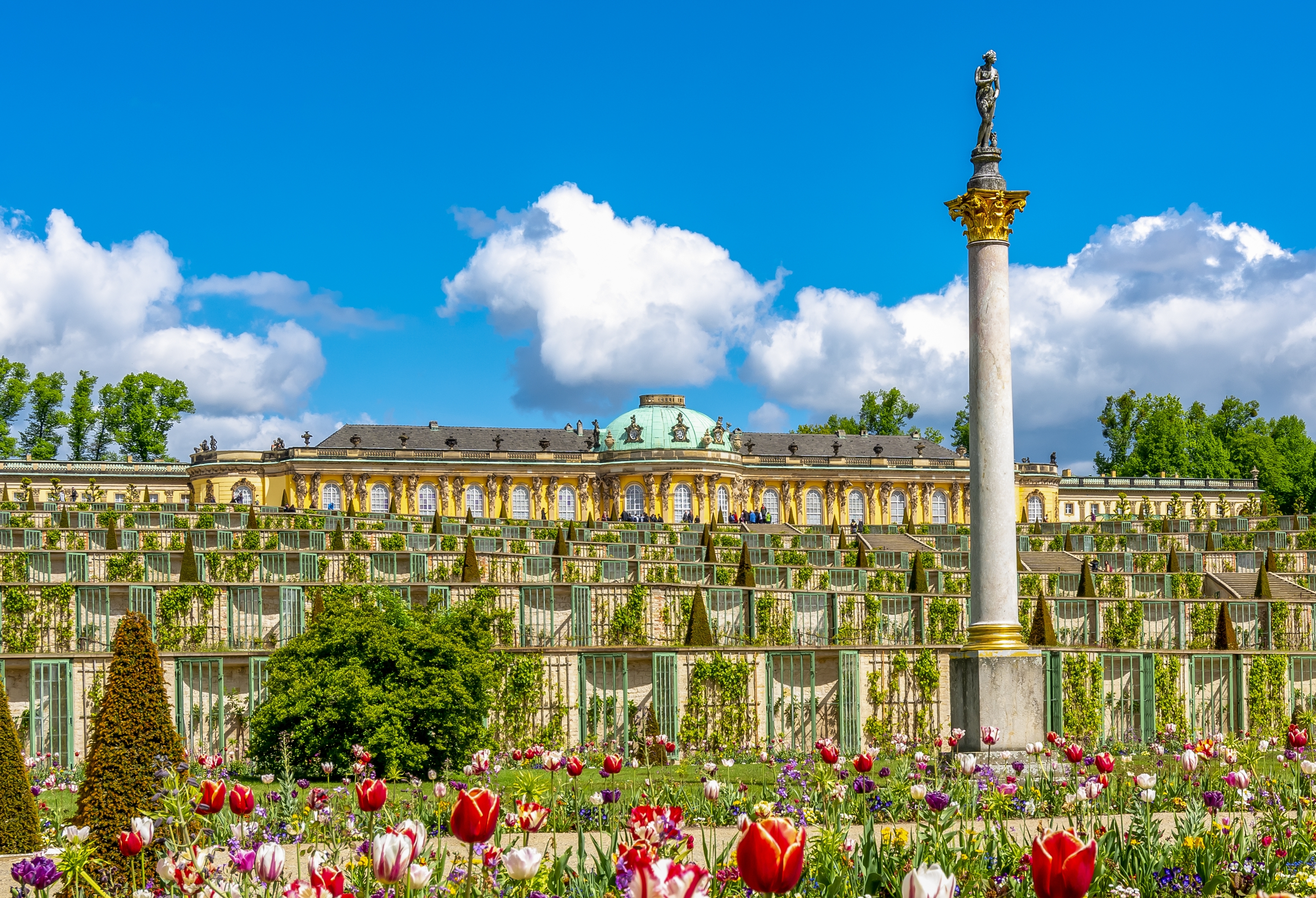 Sanssouci Slot og kongelige haver med foraarsblomsterne i Potsdam Tyskland