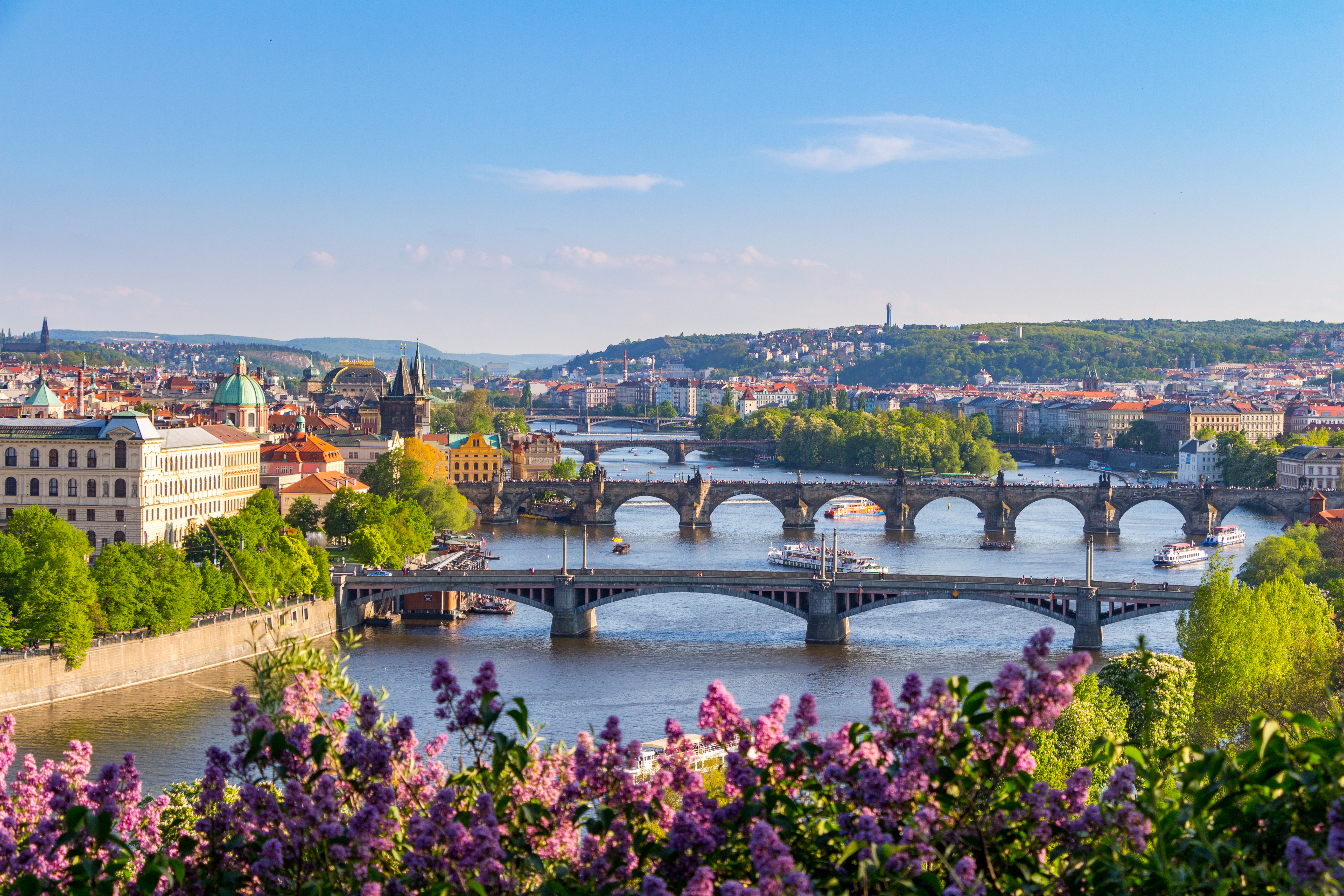 Prahas ikoniske broer over Vltava-floden med farverige syrenblomster og historisk byarkitektur