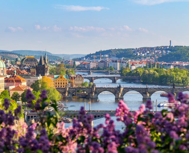 Prags UNESCO kulturarv med Karlsbroen og Vltava-floden indrammede af smukke lilla forårsblomster