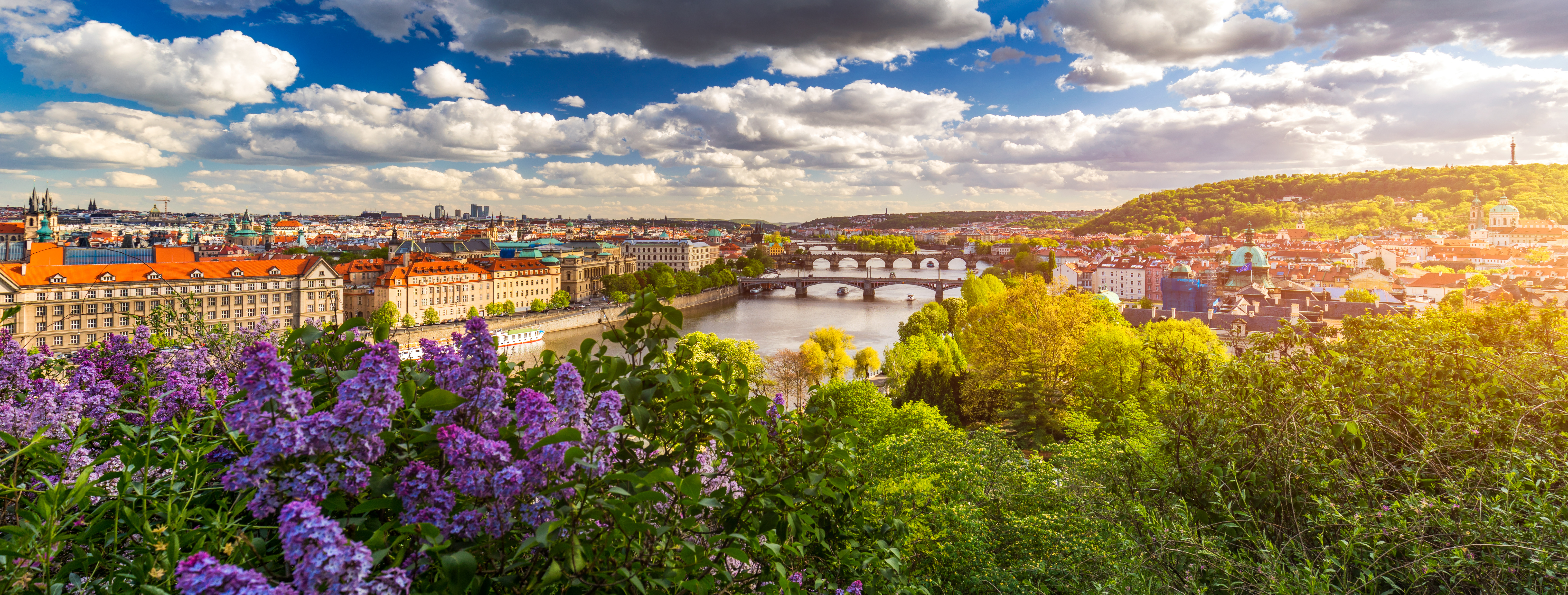 Smuk forårsudsigt fra Letna-parken over Prag med blomstrende syrener, Vltava-floden og den ikoniske Karlsbro i gyldent sollys