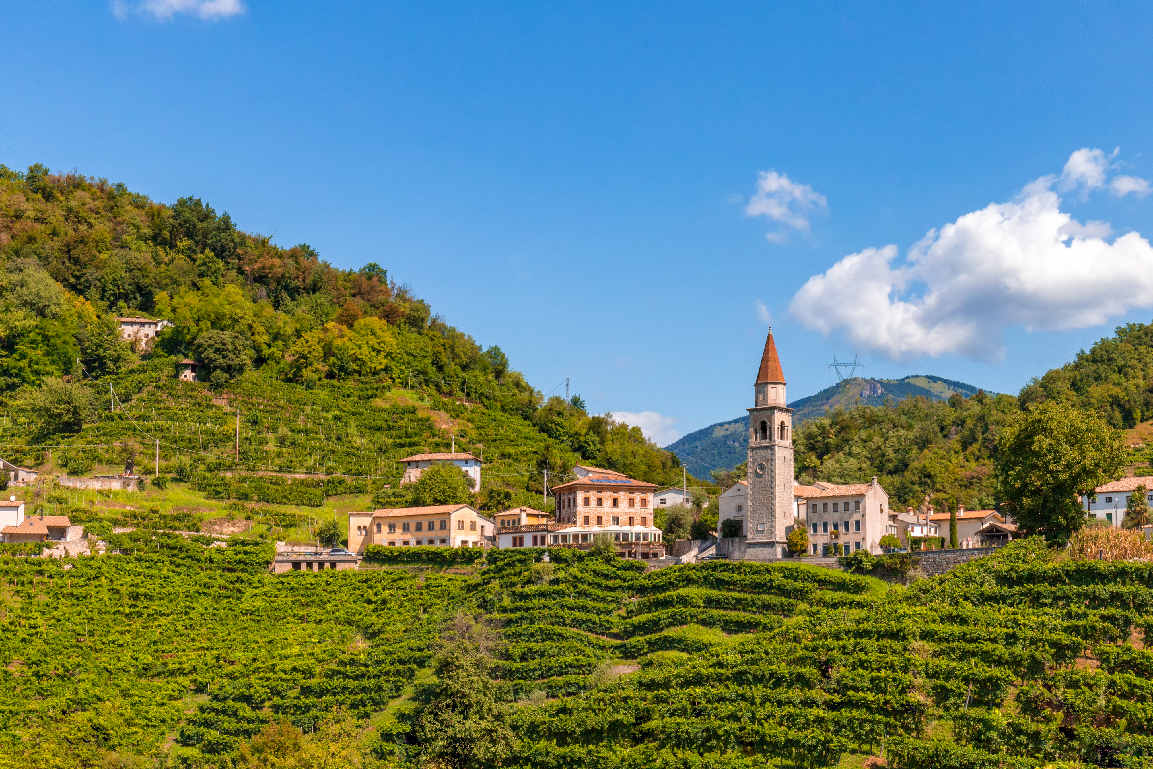 Terrasserede prosecco vingårde omkring historisk italiensk landsby med kirketårn i Valdobbiadene