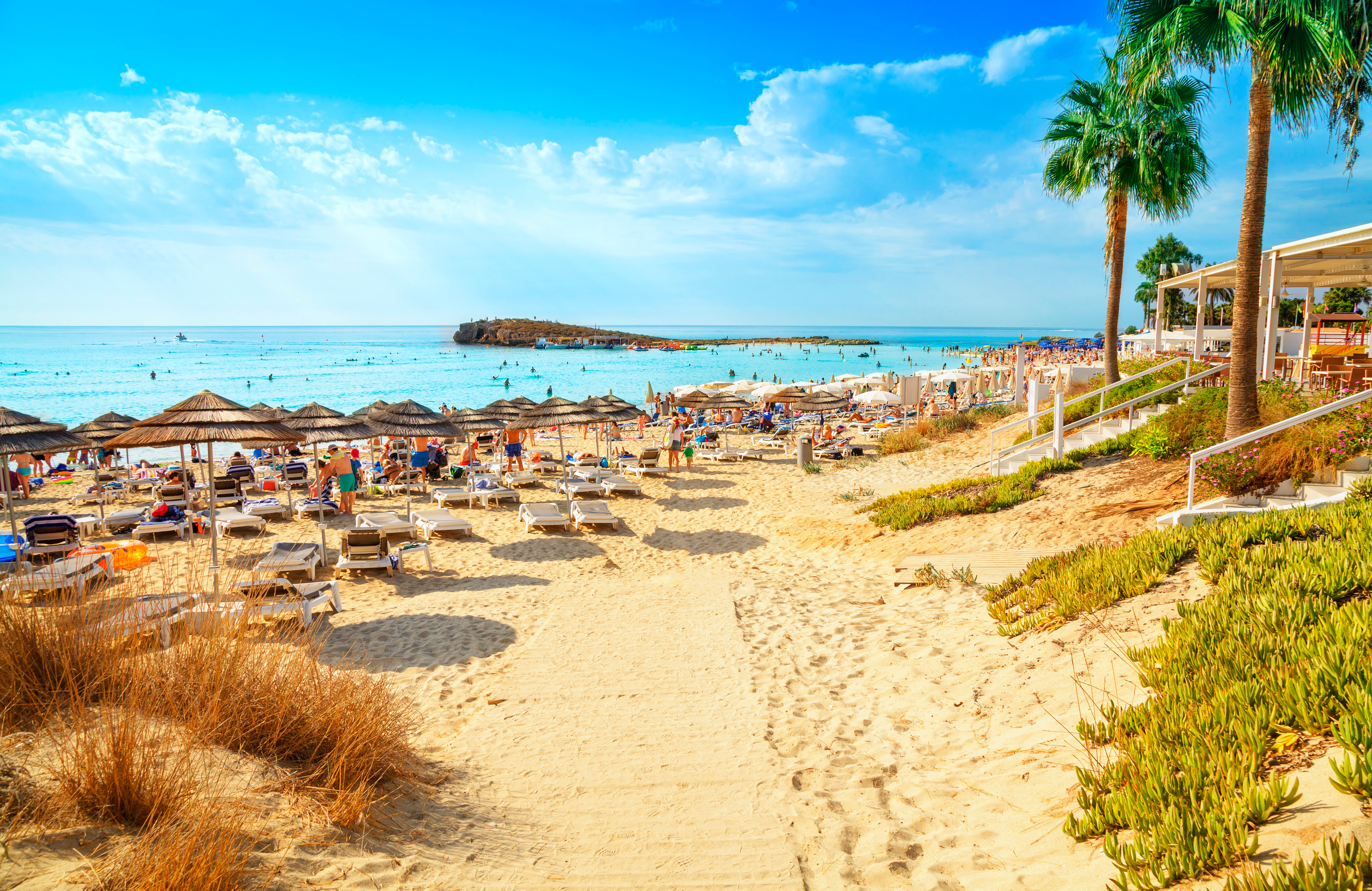 Fantastisk strand i Protaras, Cypern med palmer, gylden sand og krystalklart blåt vand