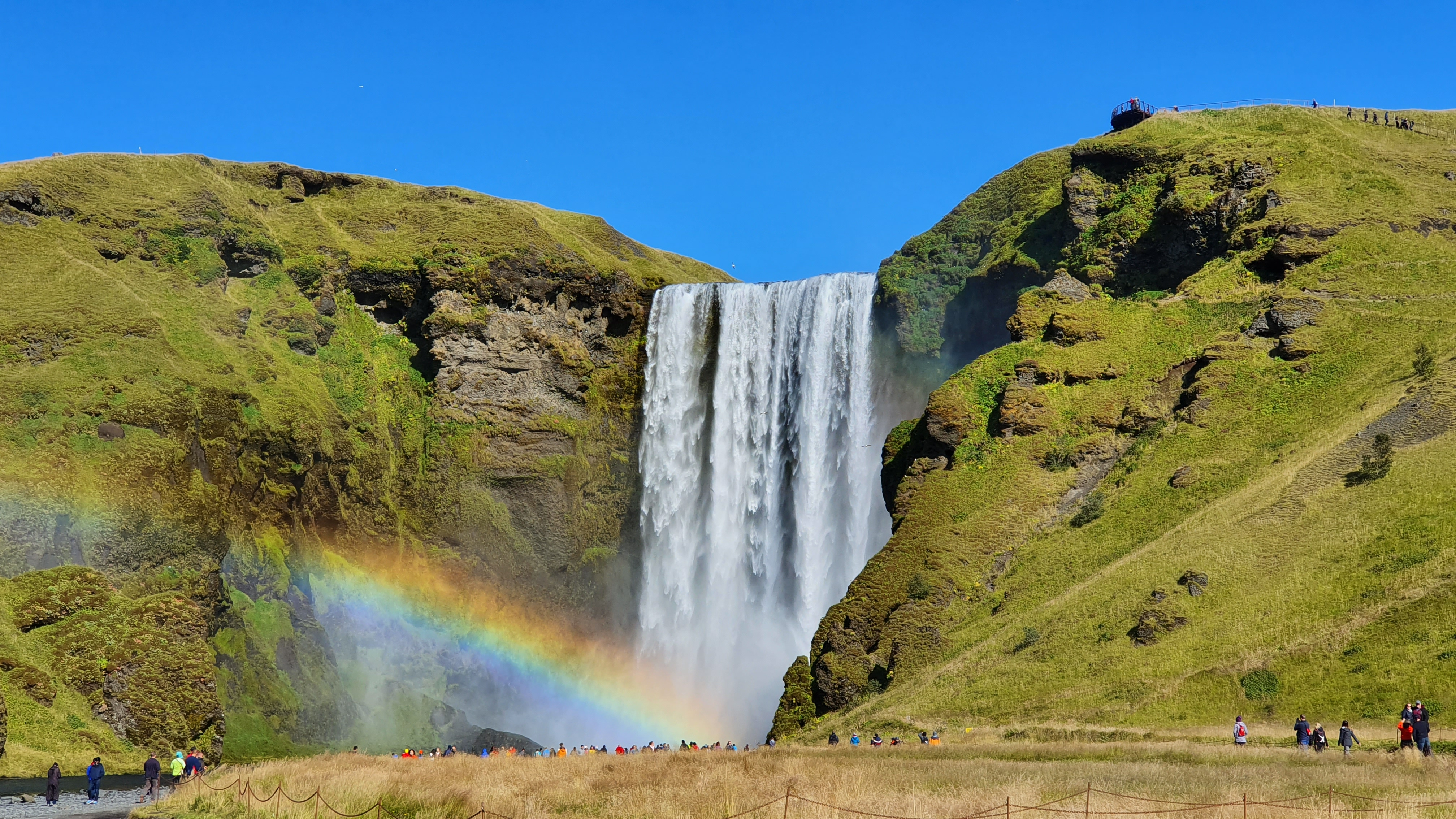 Rejse til Islands berømte Skógafoss vandfald med regnbue og grønne omgivelser