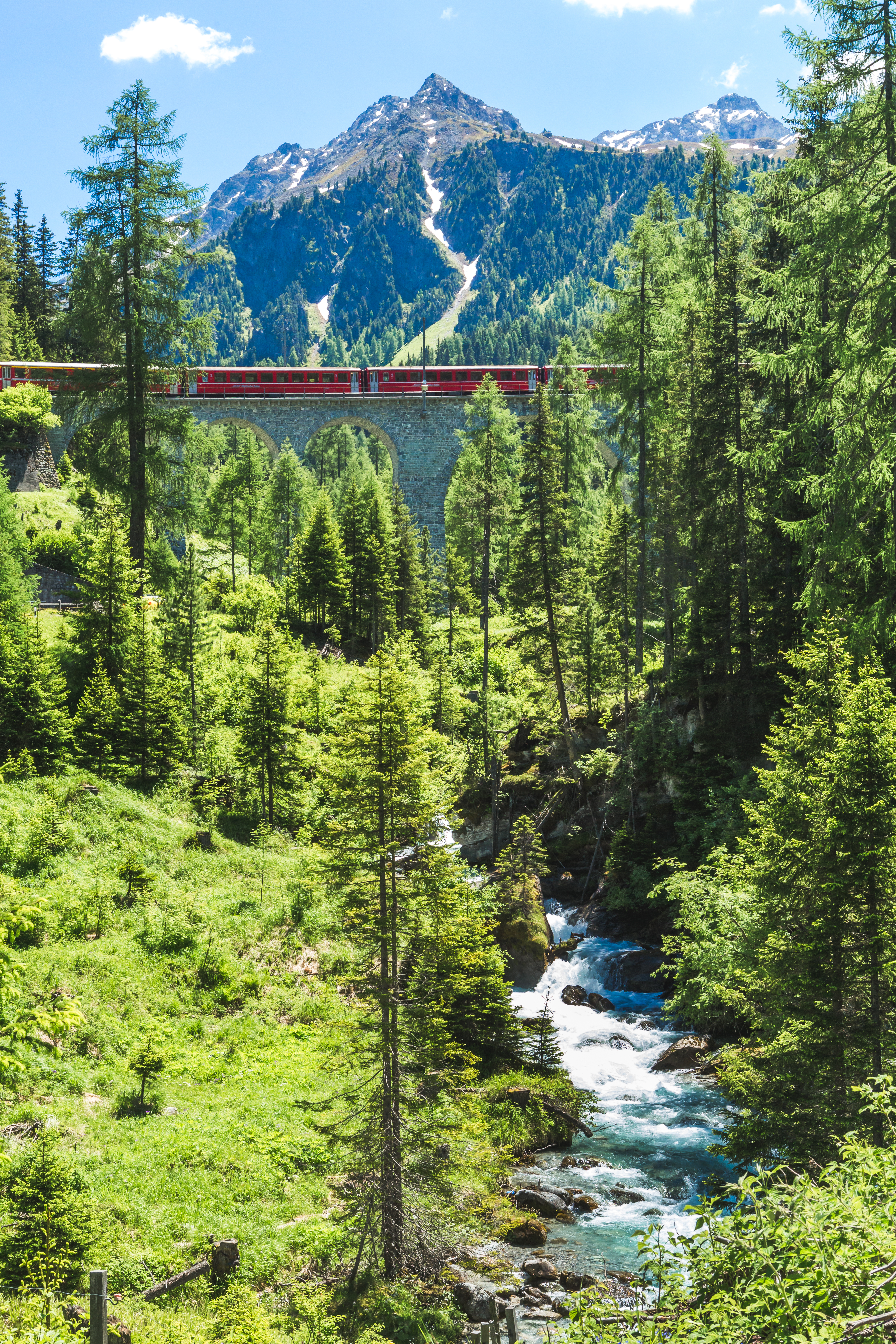 Panoramisk udsigt over alpetog på historisk viadukt omgivet af fyrreskove og bjerge