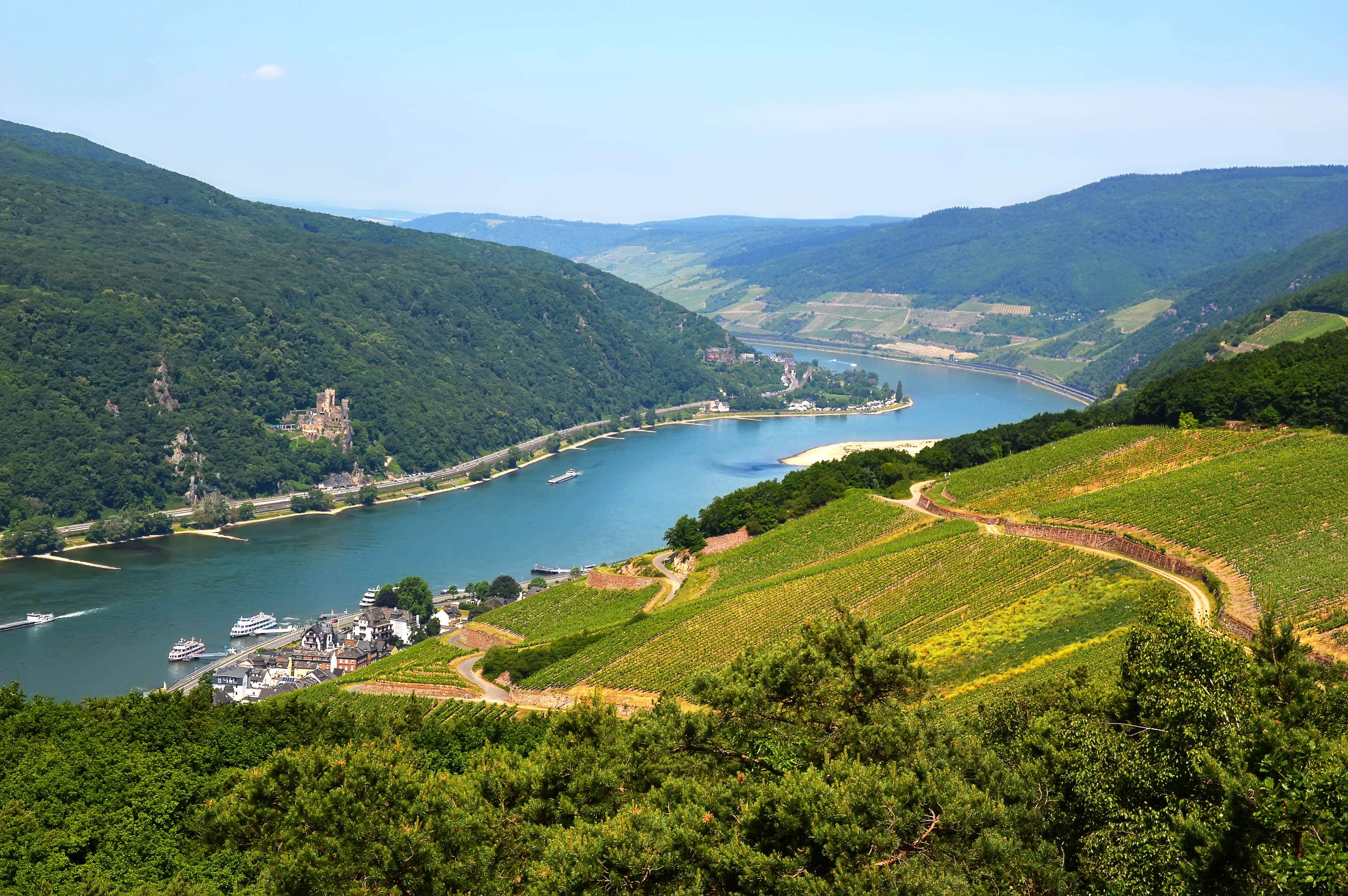 Spektakulært panorama over Rhein-dalen med vingaarde og krydstogtsskibe