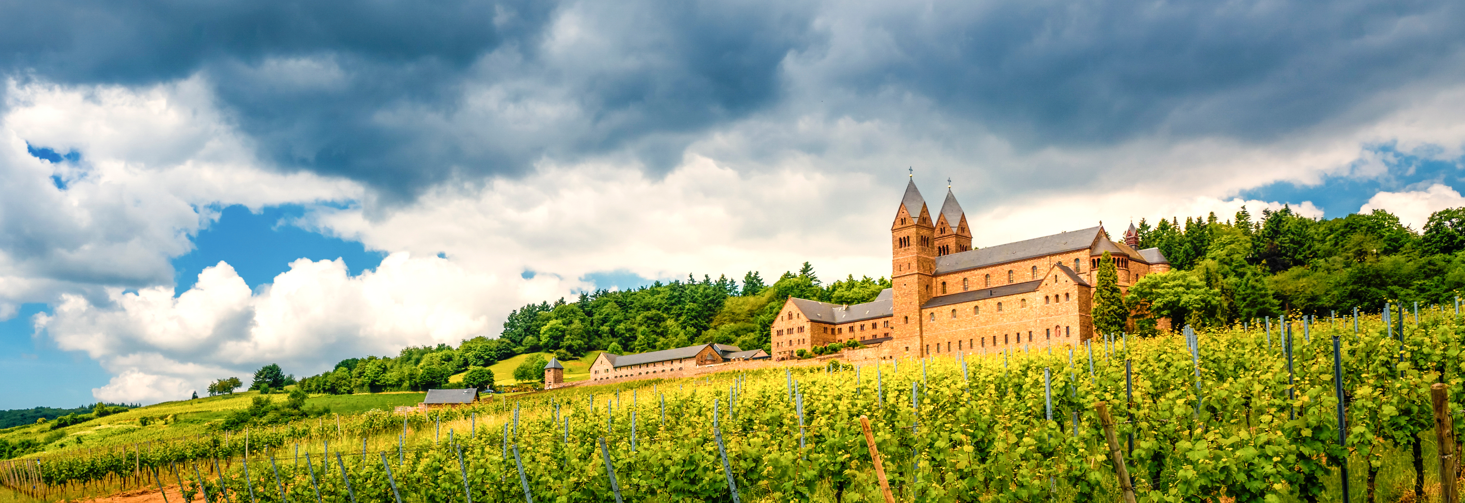 Kloster i Rheingau vinregion omgivet af frodig vinproduktion