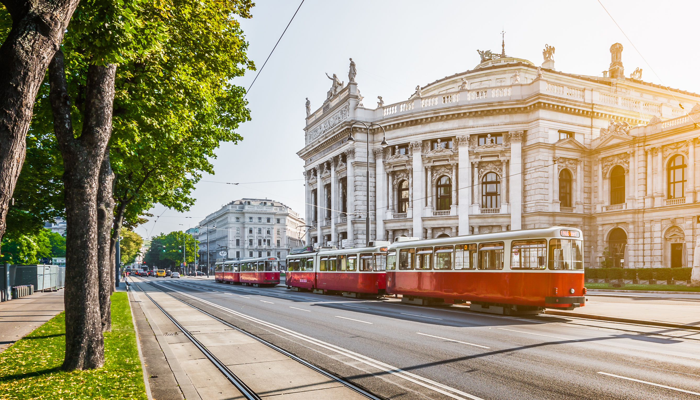 Den berømte Ringstrasse i Wien med det historiske Burgtheater og den klassiske røde sporvogn i gyldent morgenlys