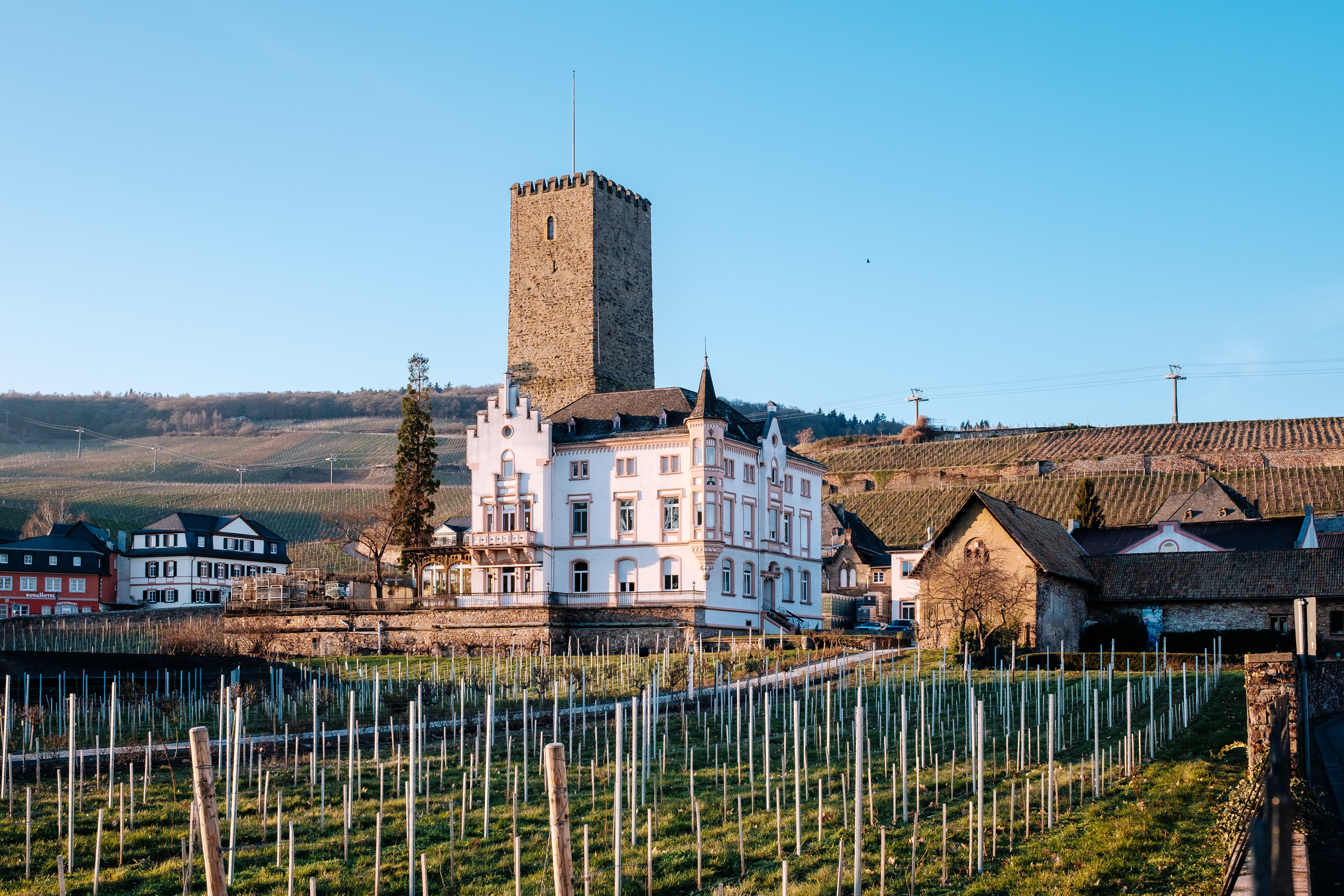 Romantisk udsigt over Rhinens vinbyer med historisk tårn i Rüdesheim