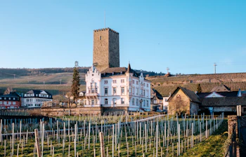 Romantisk udsigt over Rhinens vinbyer med historisk tårn i Rüdesheim