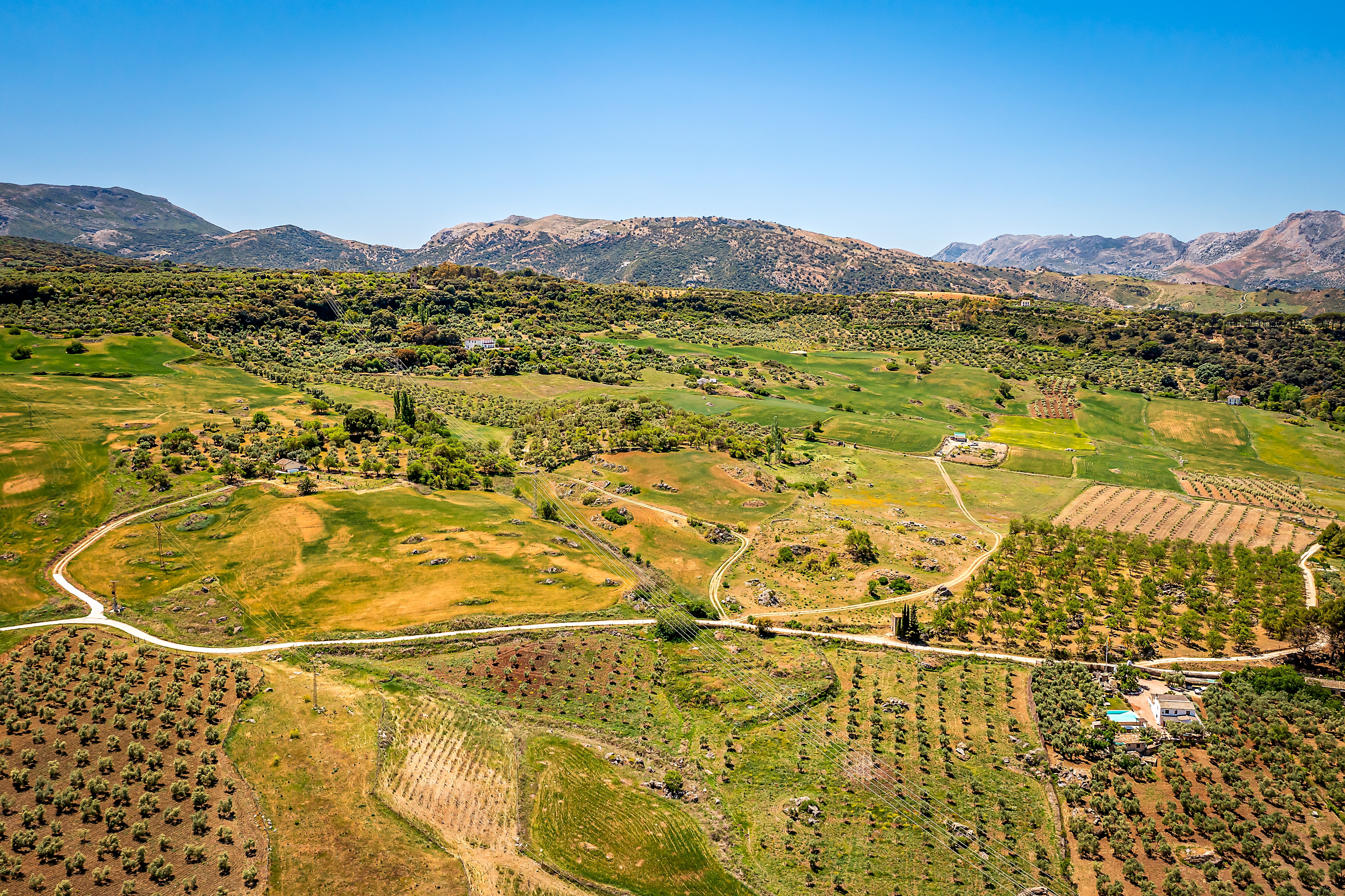 Luftfoto af det idylliske spanske landdistrikt med oliventræer, grønne marker og bjerge nær Ronda i Malaga-provinsen