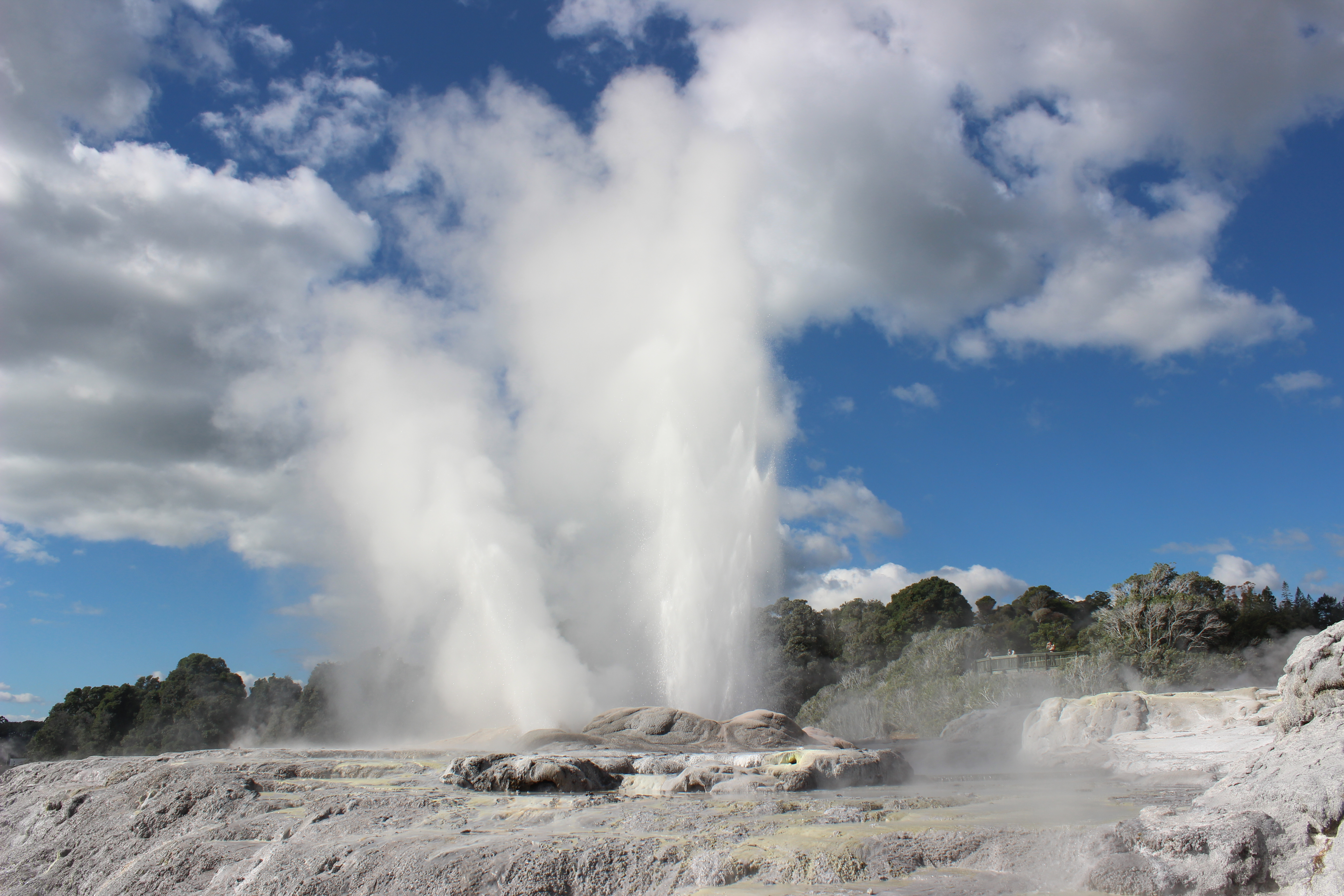 Naturskønt geyserudbrud ved Rotorua i New Zealand med store dampskyer der stiger op fra den geotermiske park mod den skyfyldte blå himmel
