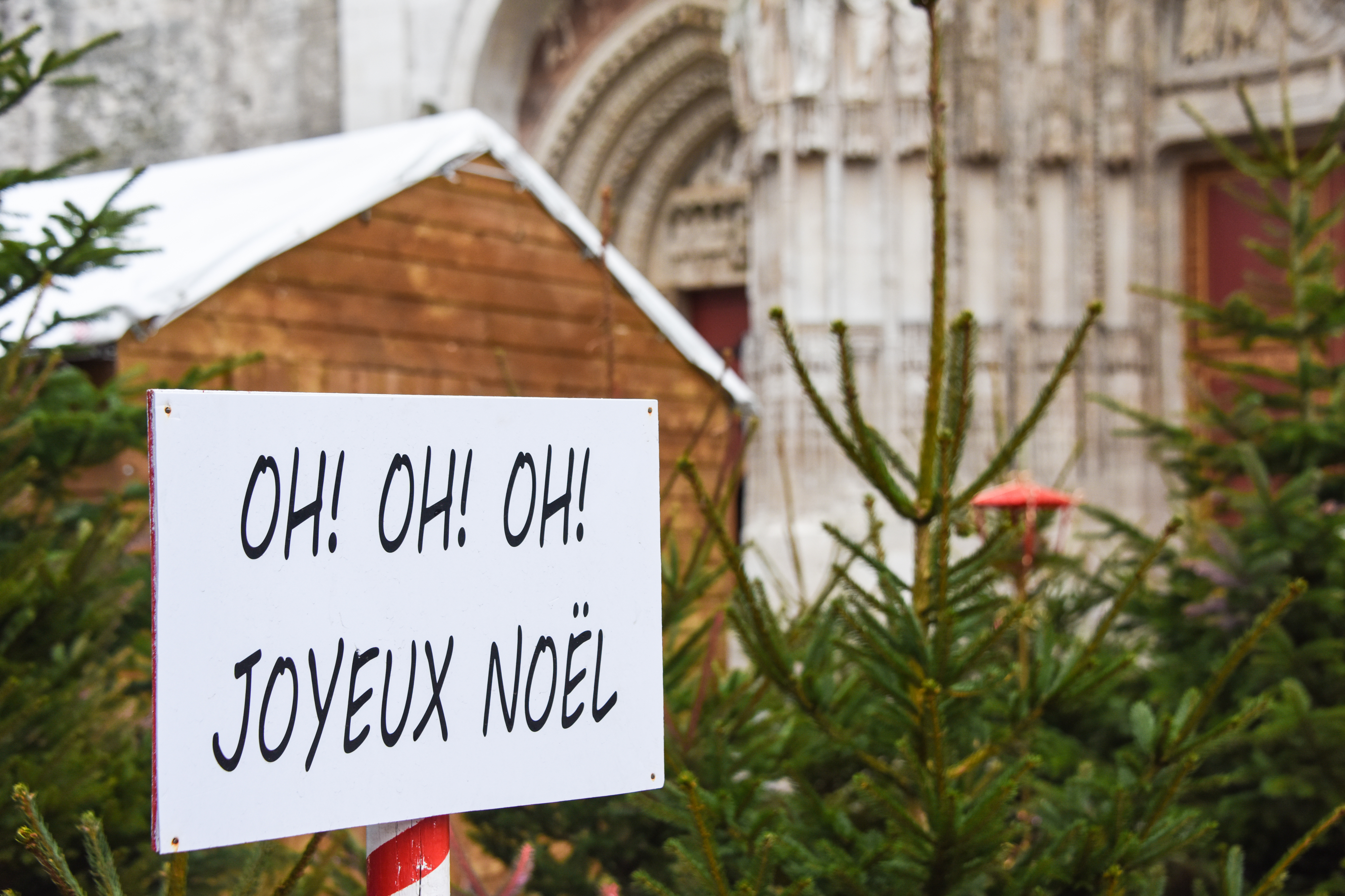 Glædelig jul skilt ved Rouens julemarked med fyrtræer og gotisk katedralfacade i baggrunden