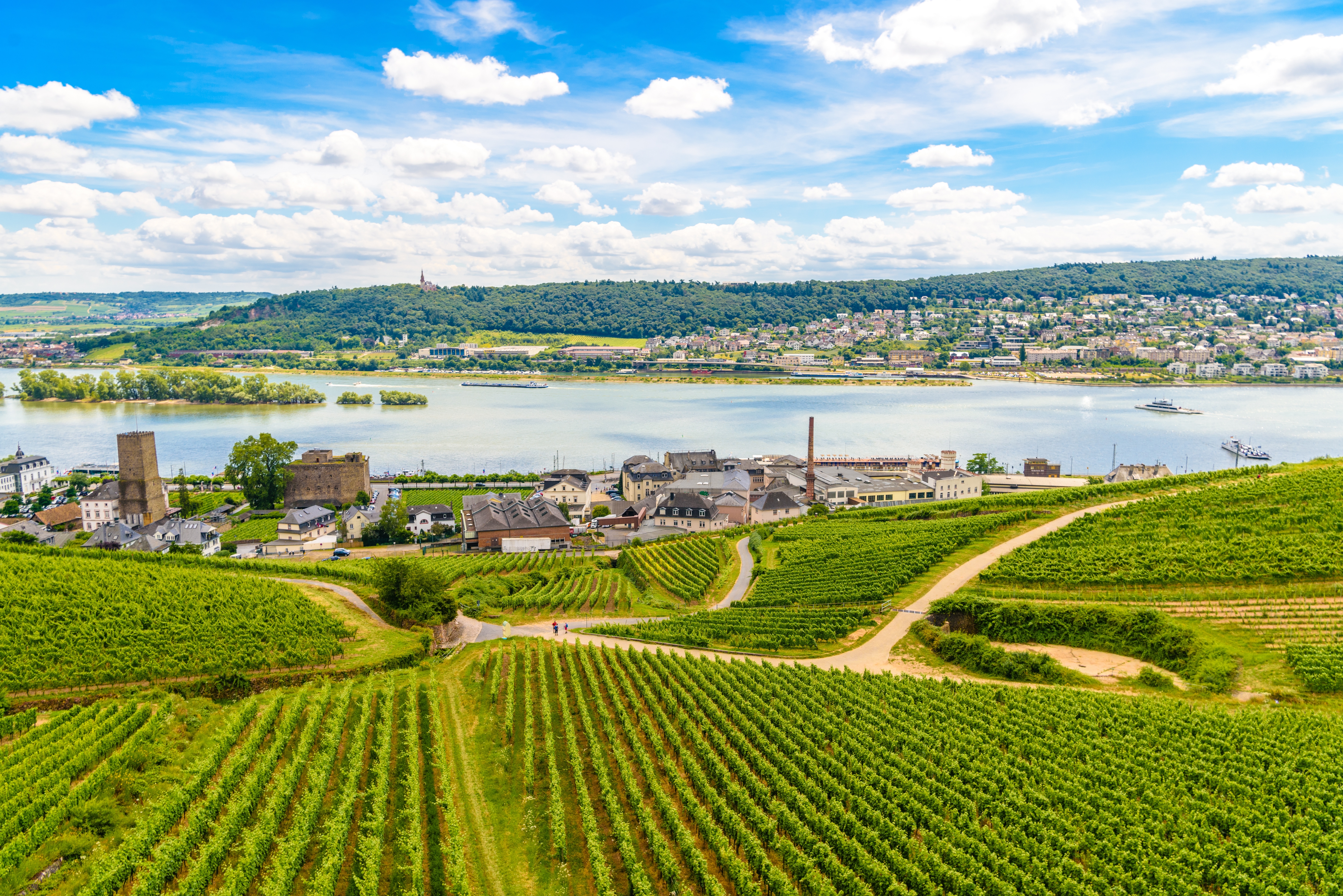 Luftbillede af Rüdesheim og omgivende vinbjerge ved Rhinen