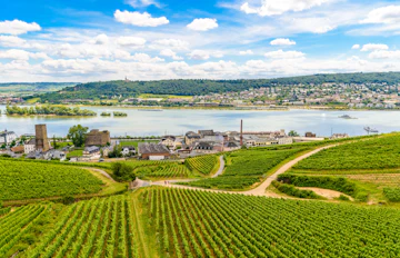 Luftbillede af Rüdesheim og omgivende vinbjerge ved Rhinen