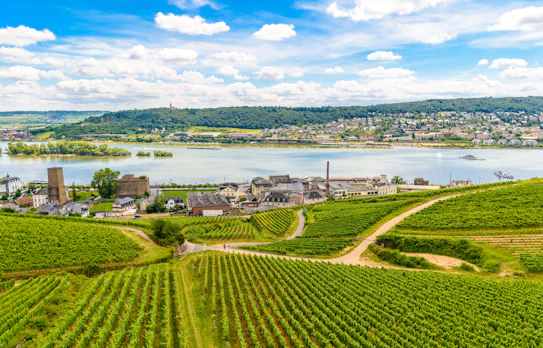 Luftbillede af Rüdesheim og omgivende vinbjerge ved Rhinen