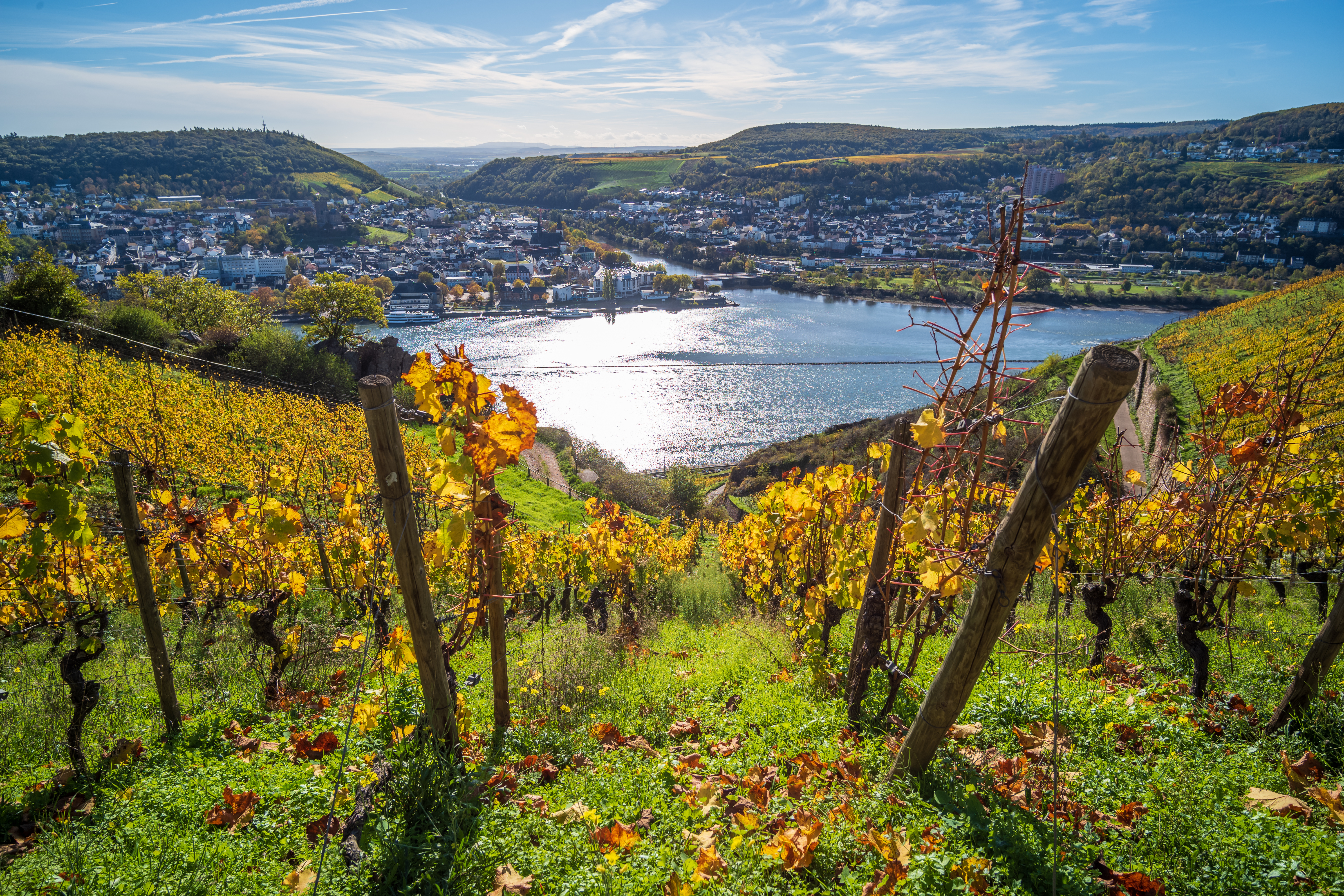 Fantastisk udsigt over Rhinen og Rüdesheim set fra de gyldne efterårsvingårde på de maleriske skråninger langs floddalen