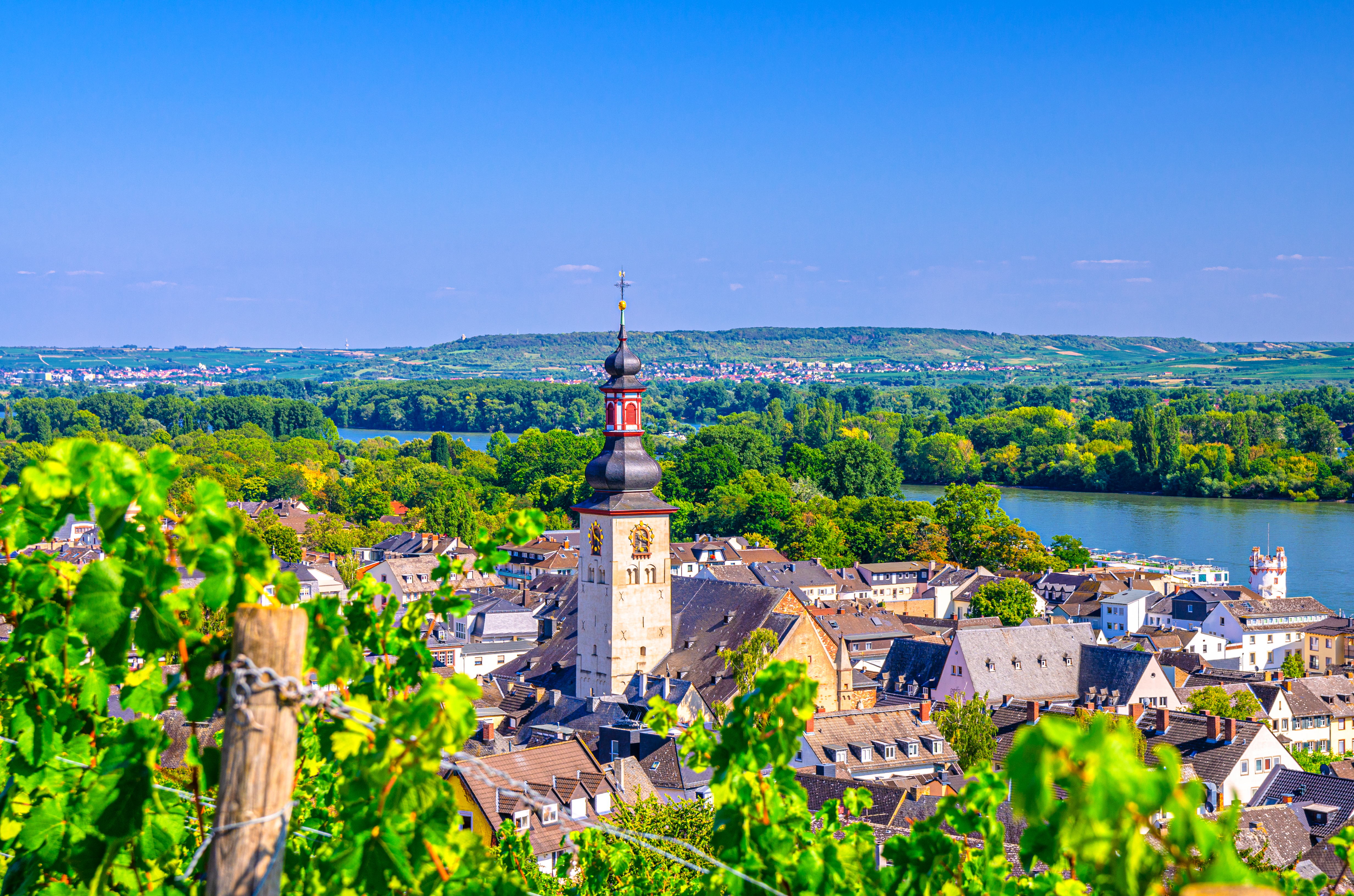Idyllisk panorama over Rüdesheim ved Rhinen med historisk kirketårn, frodige vinmarker og den majestætiske flod, perfekt til flodkrydstogter i Tyskland