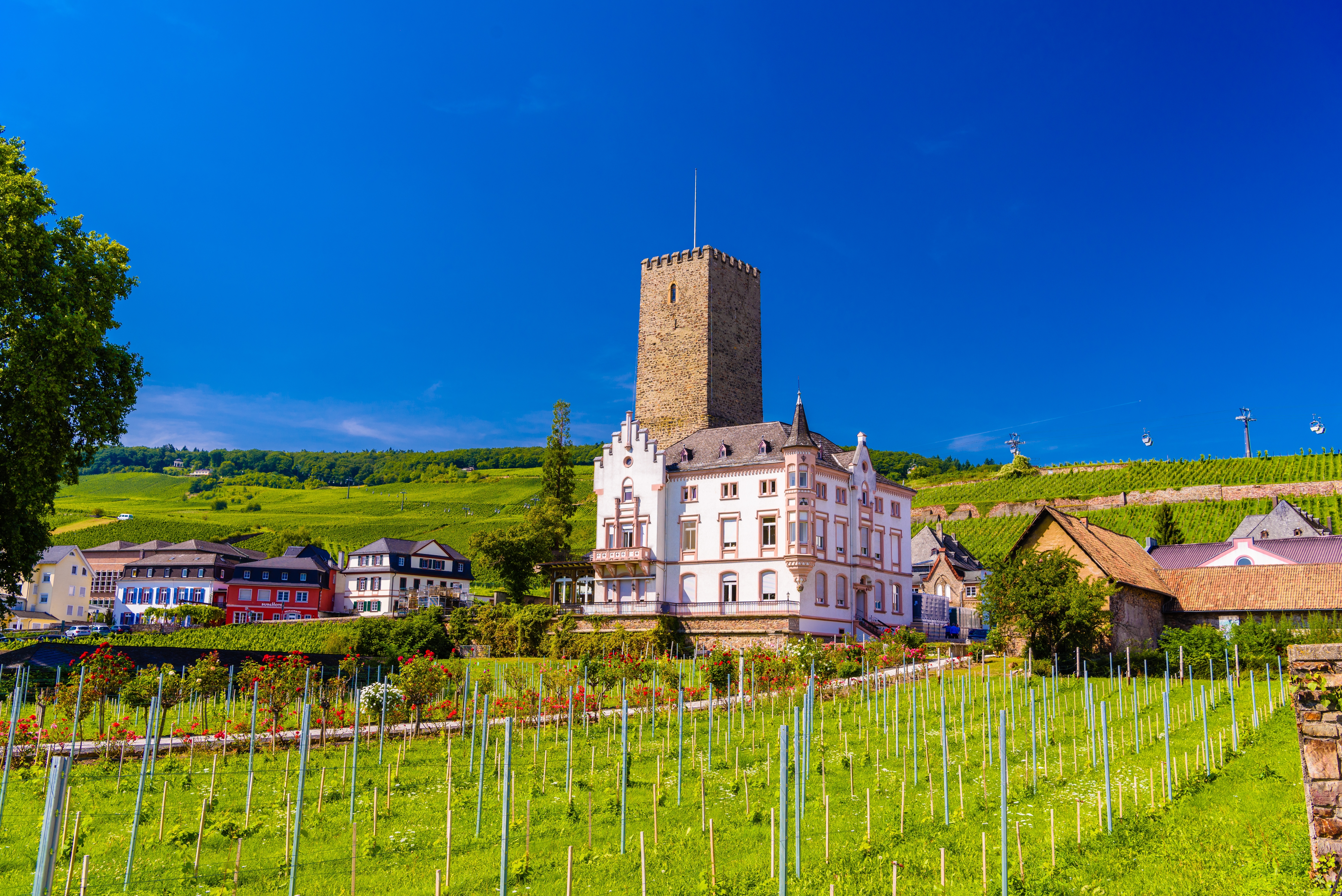 Idyllisk udsigt over Boosenburg slot og tårn i Rüdesheim am Rhein med smukke grønne vingårde og blå sommerhimmel i Rheingau, Tyskland