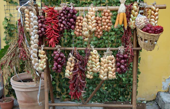 Rustik italiensk grøntsagsdisplay med tørrende løg og røde peberfrugter på marked