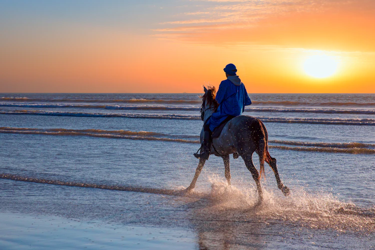 Hest og rytter på strand med sprøjtende havvand ved sunset