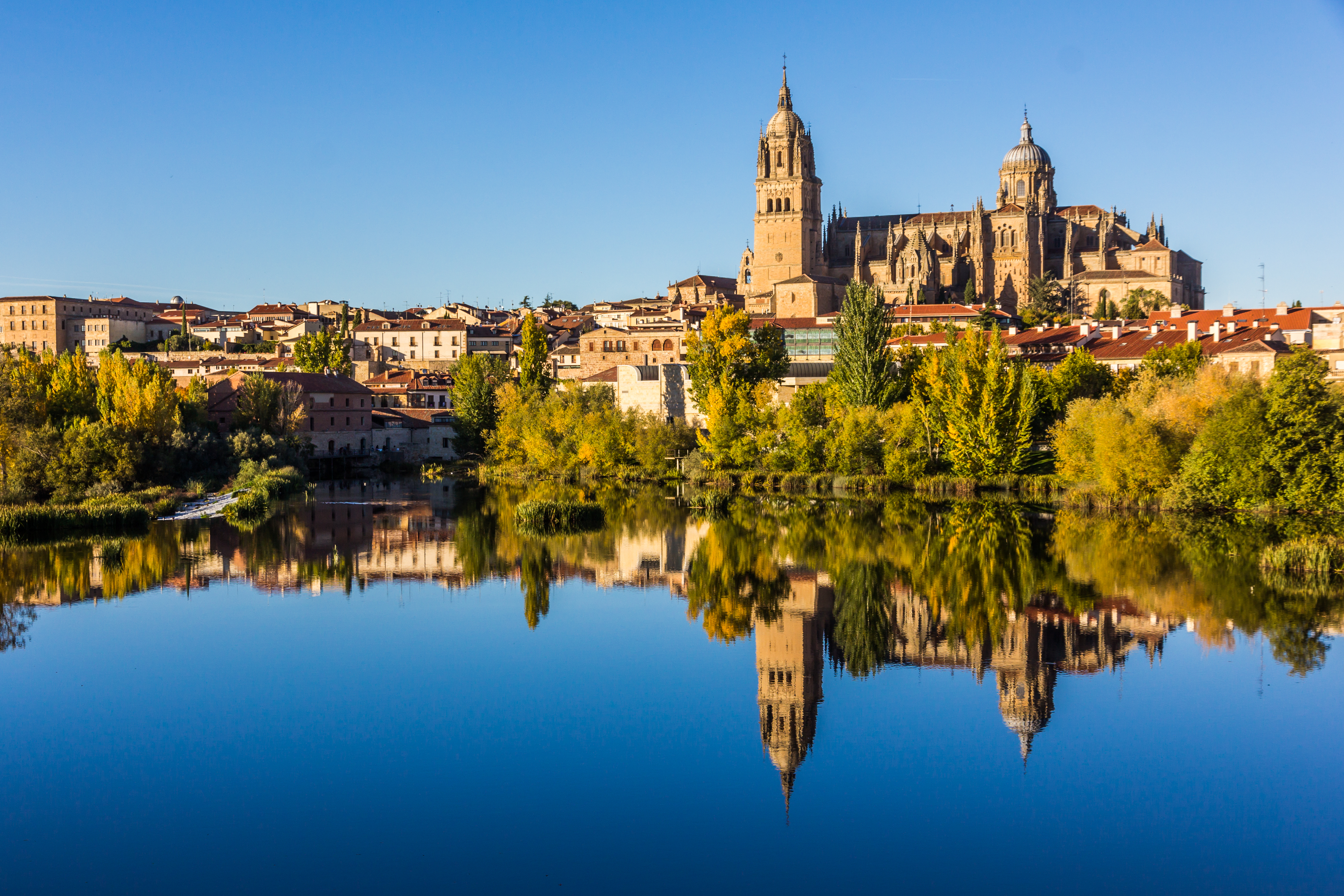 Salamancas barokke katedral og middelalderby spejlet i Tormes-floden, Spanien
