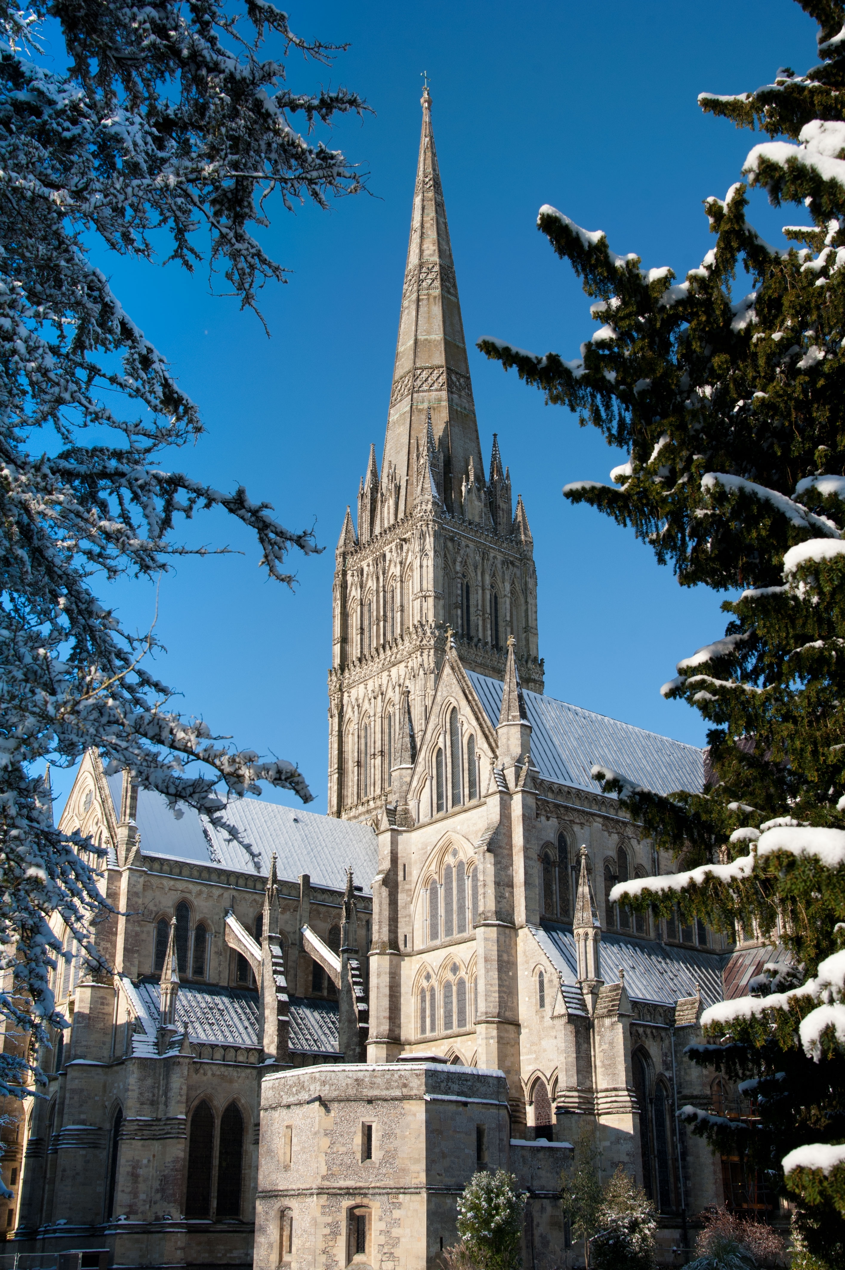 Salisbury Cathedrals majestætiske gotiske arkitektur og høje spir fotograferet gennem snedækkede træer om vinteren