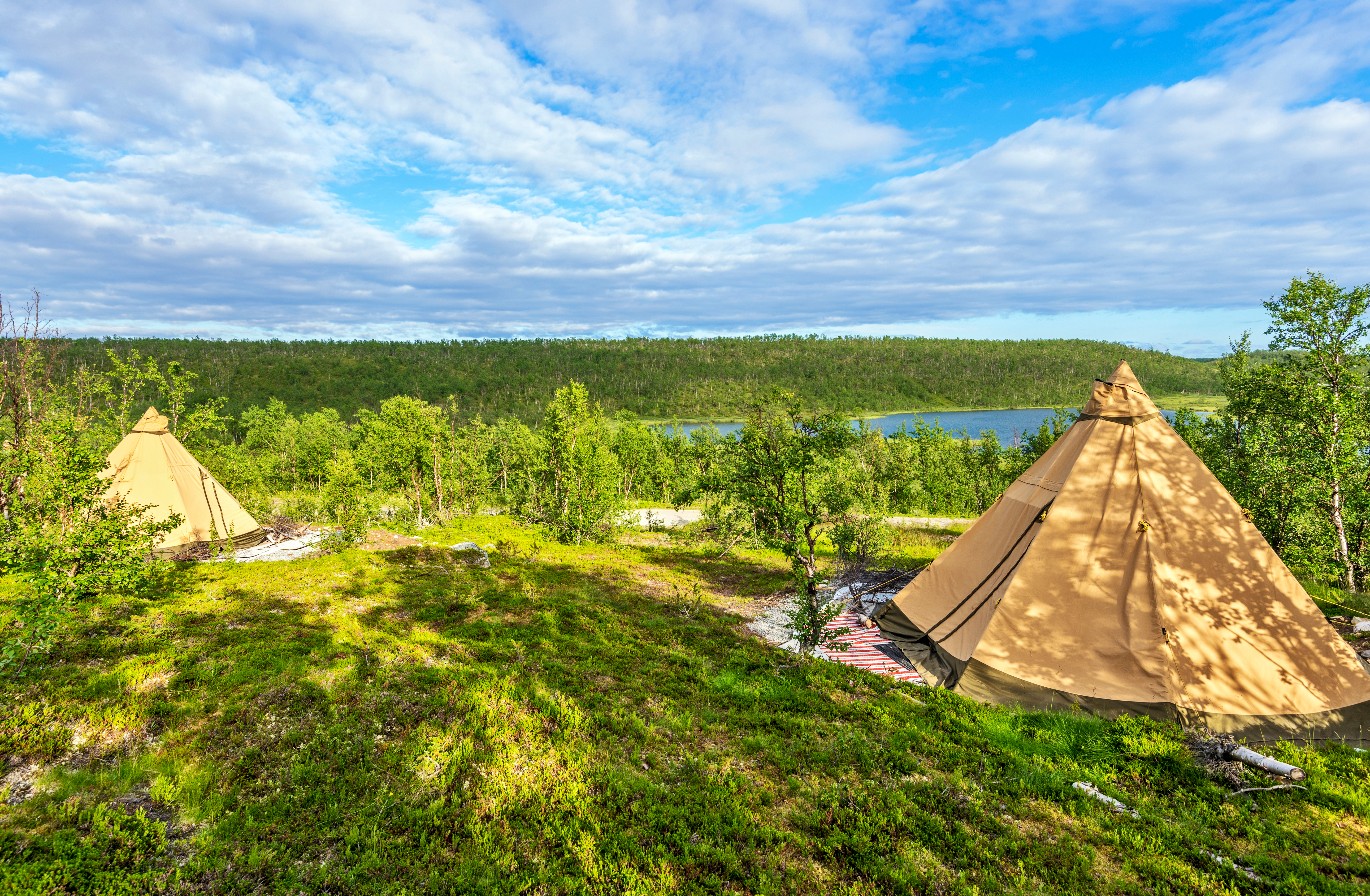 Samiske lavvo-telte på grøn tundra med udsigt over Dalloluoppal-søen i Kautokeino, Finnmark, Norge