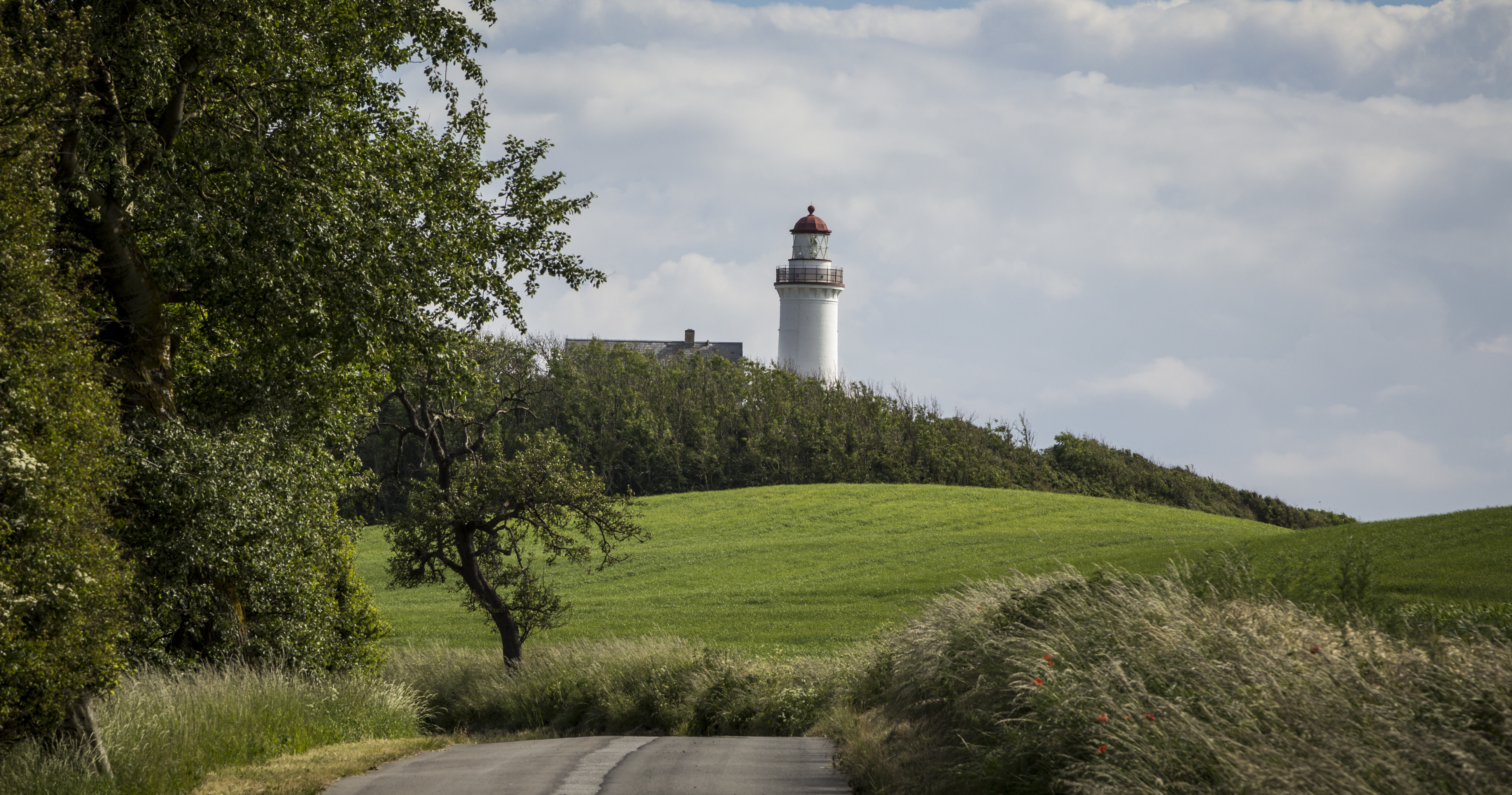 Naturskøn landevej omgivet af grønne marker der fører til det historiske Vesborg Fyr på Samsøs sydlige spids, en perfekt destination for en sommerudflugt