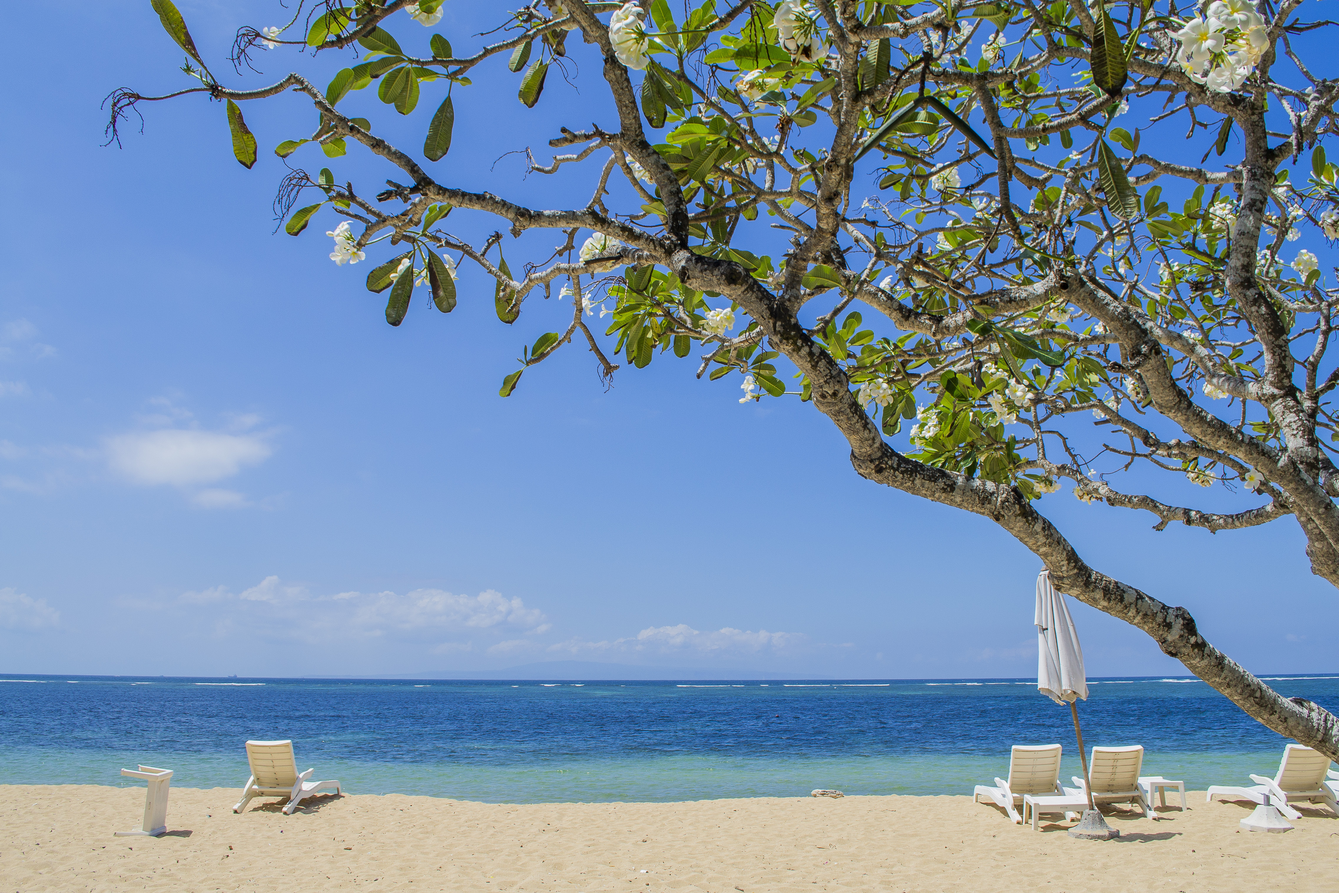Sanur beach på Bali med solsenge i skyggen af tropisk træ ved havet