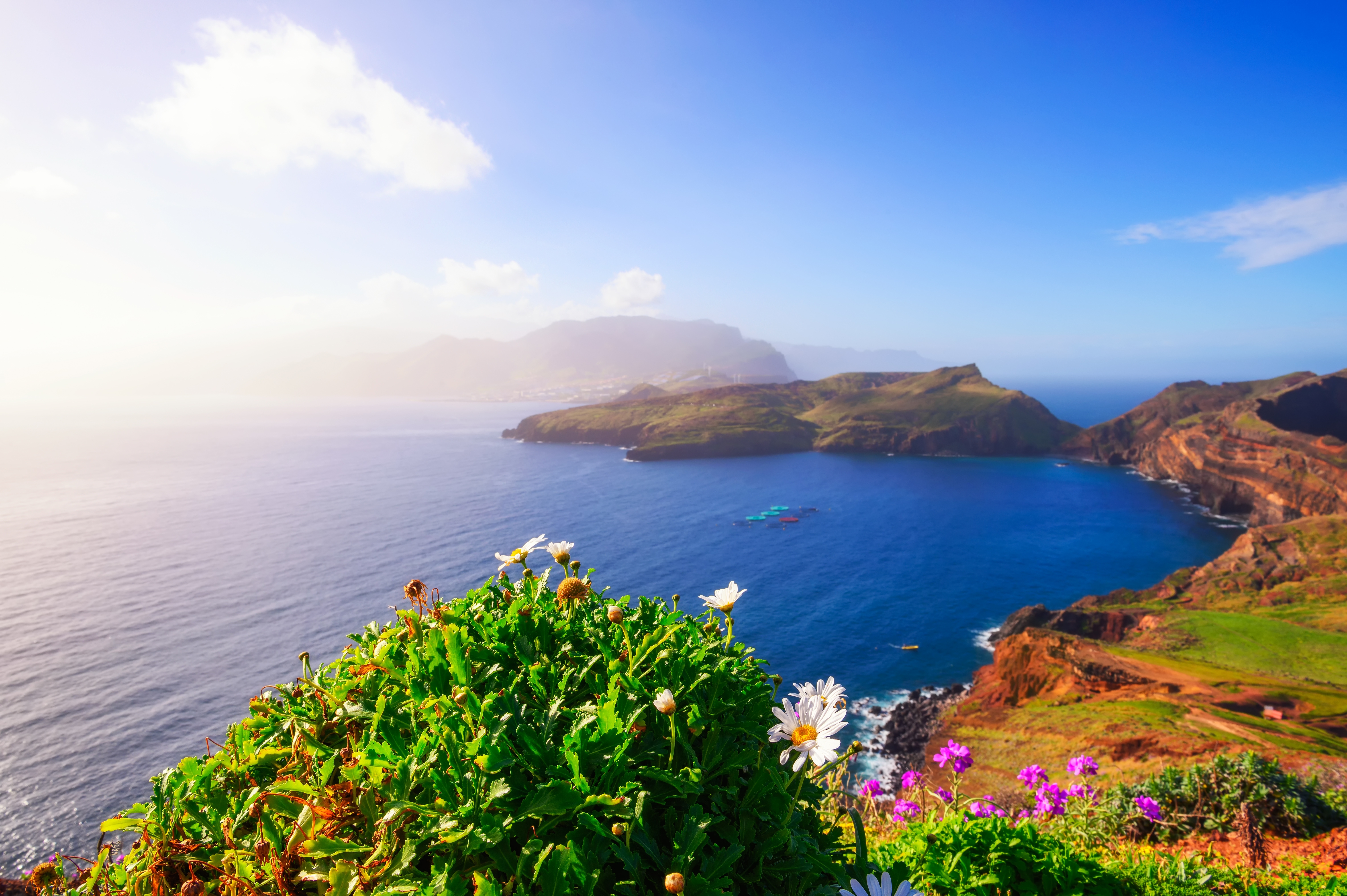 Naturskøn udsigt over São Lourenço halvøen på Madeira med farverige blomster og turkist hav langs de røde og grønne kystklinter i Portugal