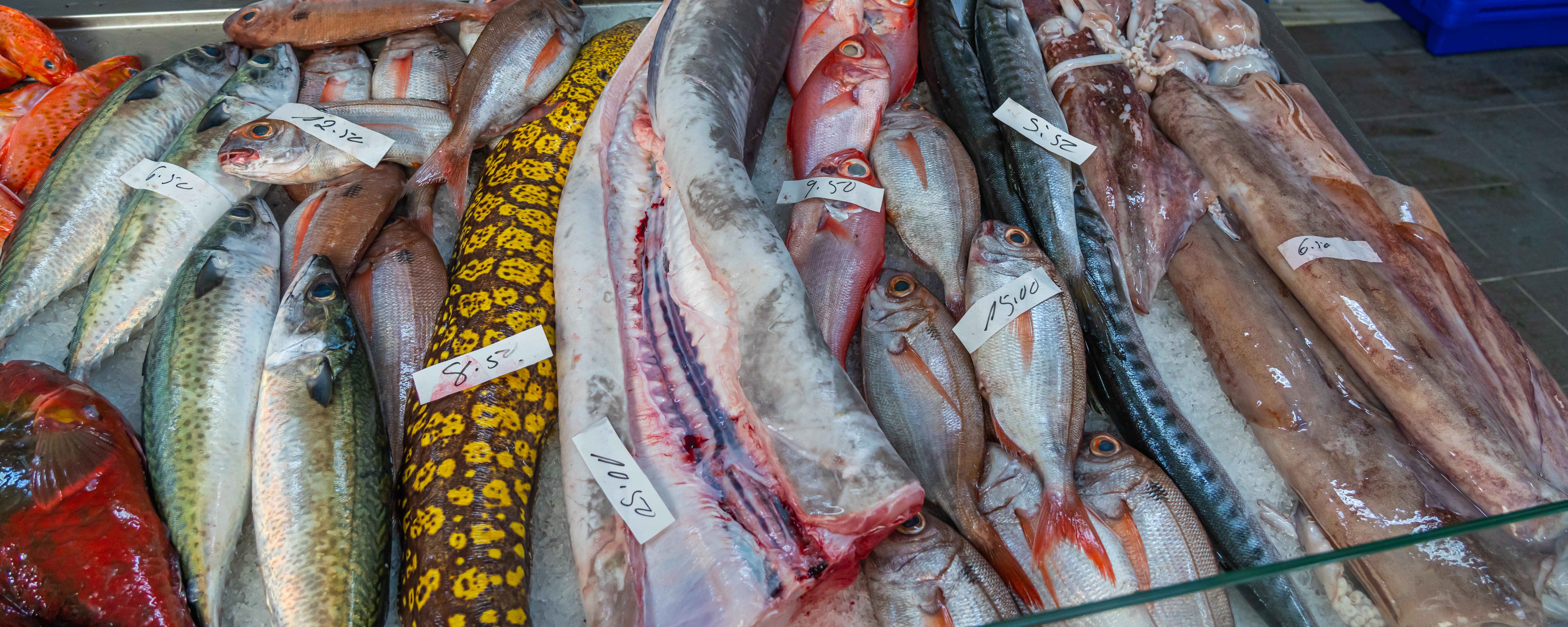 Frisk fanget fisk på lokalt marked på São Miguel, Azorerne