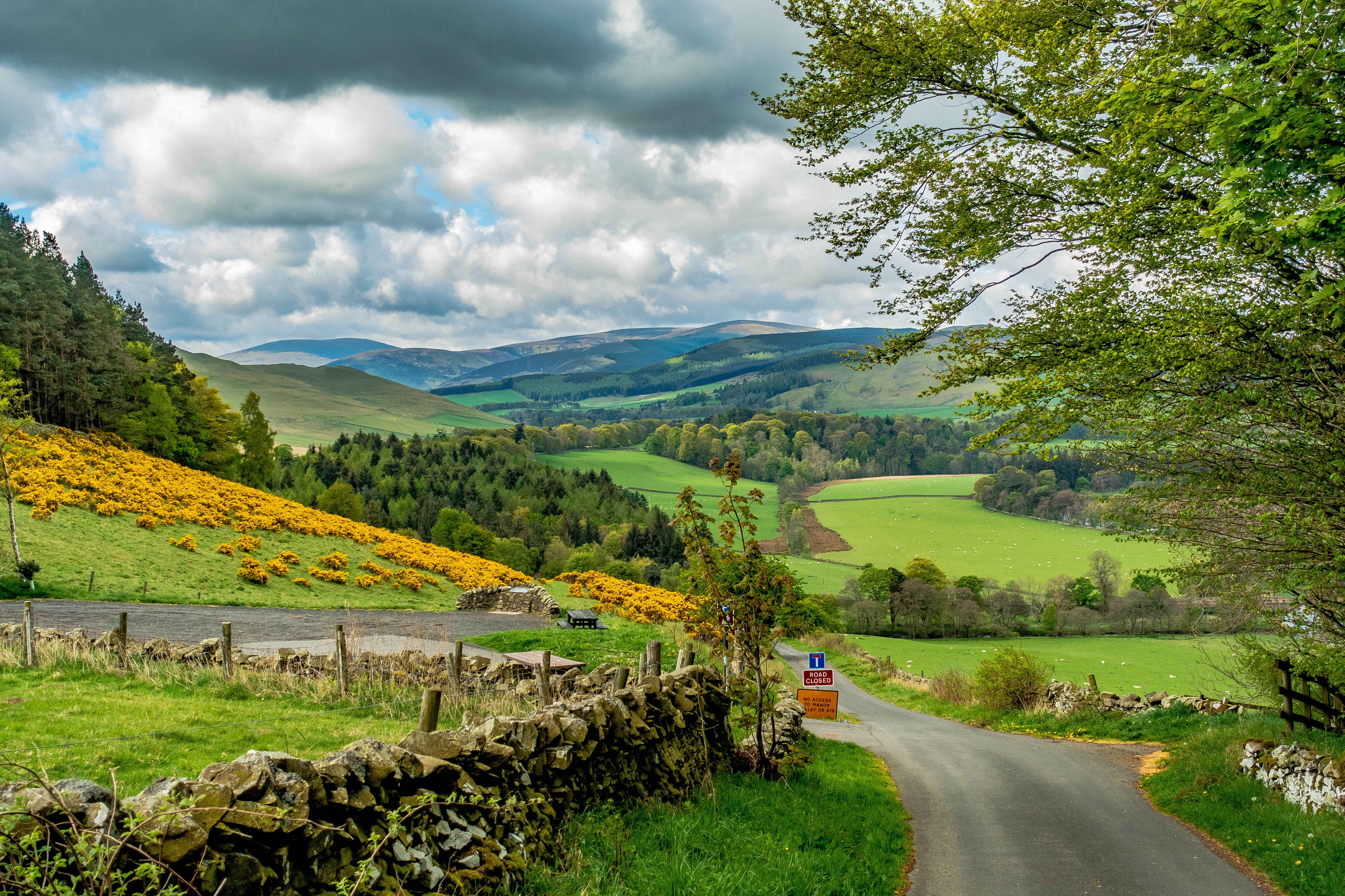 Fredfyldt landevej gennem det kuperede Scottish Borders landskab nær Peebles med karakteristiske stenskoninger, gule gyvelbuske og udsigt over grønne dale
