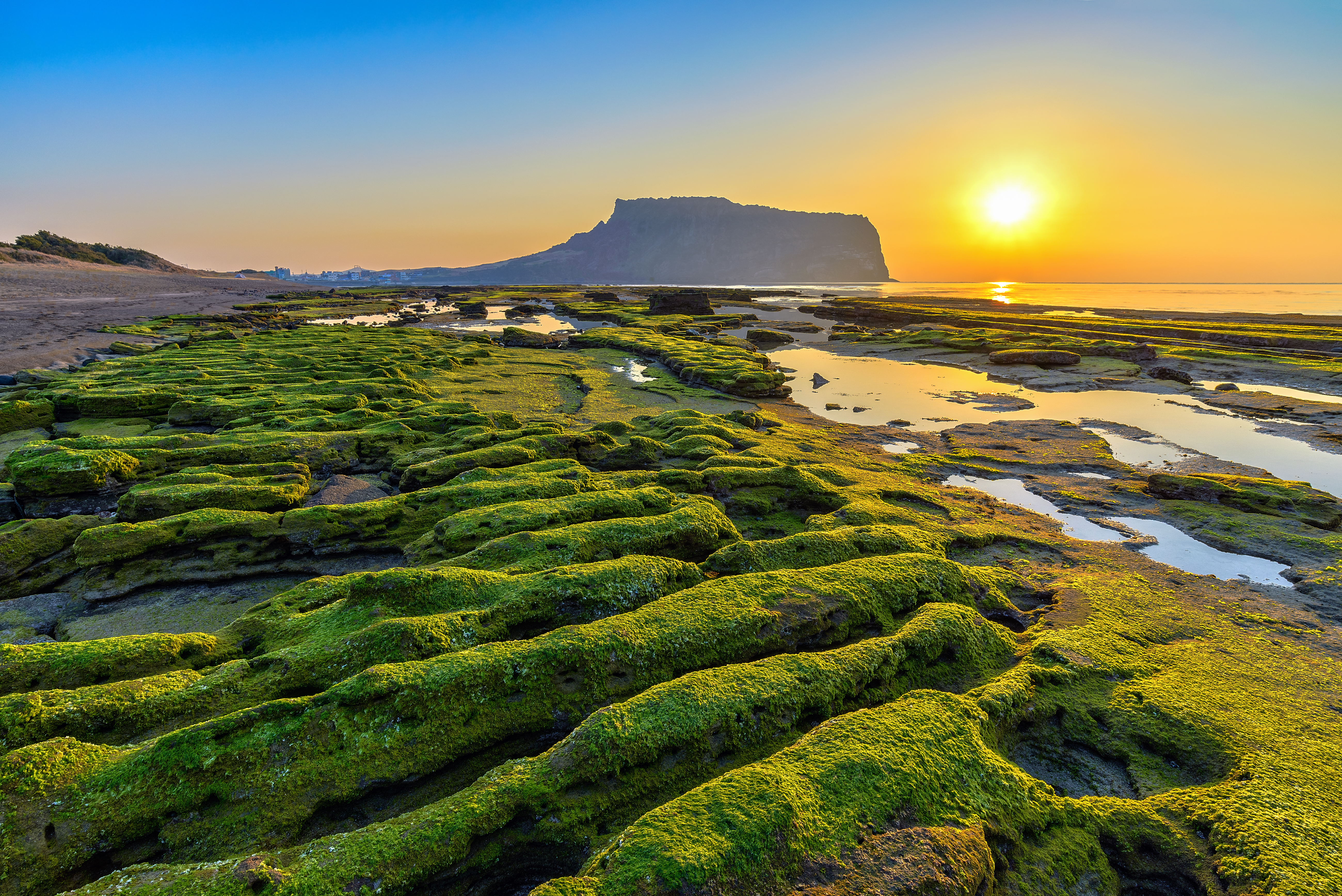 Morgensol over mosklædte tidevandsbassiner med Seongsan Ilchulbong vulkantoppen i baggrunden, Jeju Island