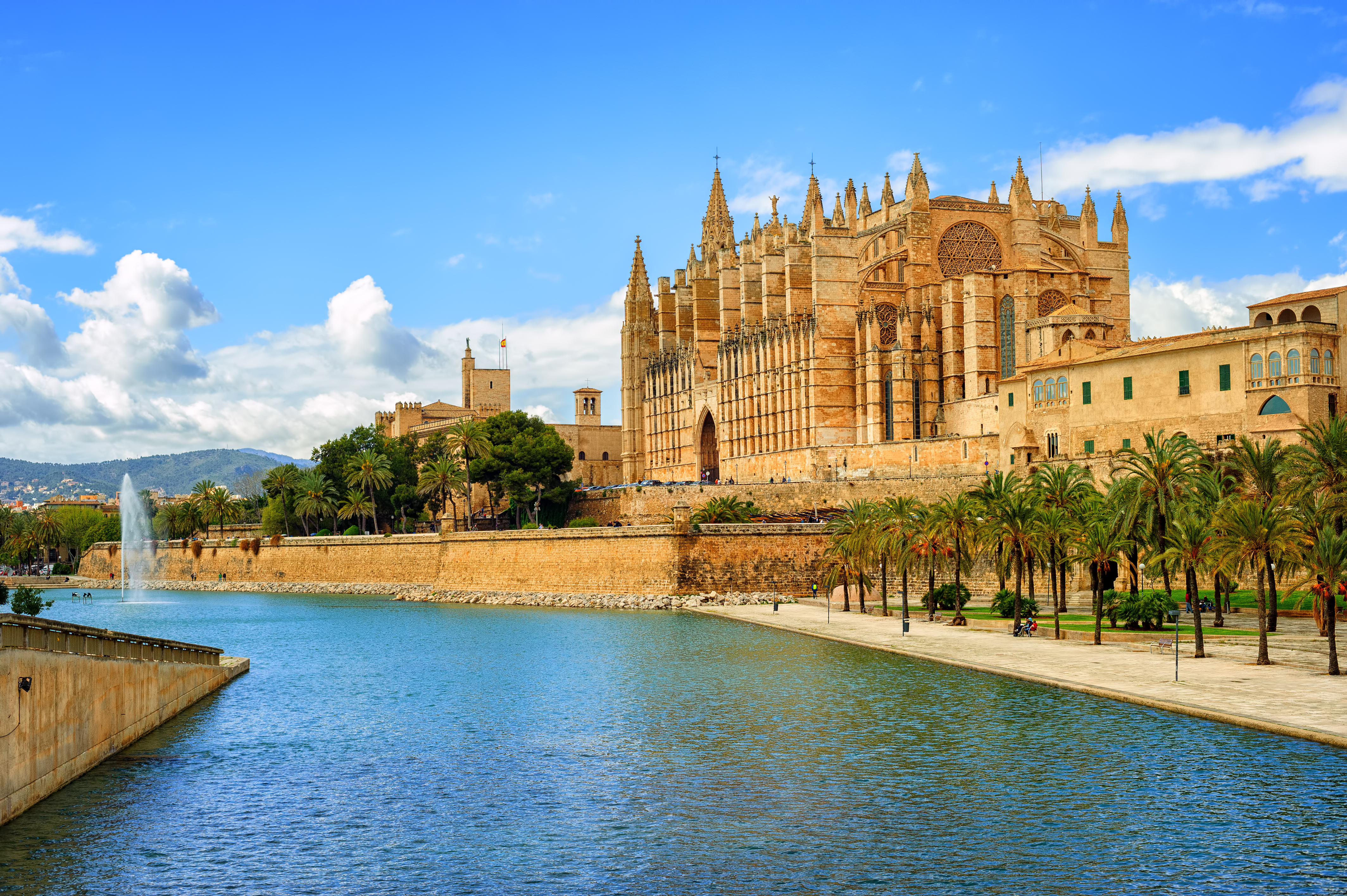 Seu katedral ved kysten i Palma de Mallorca med blåt vand og palmer