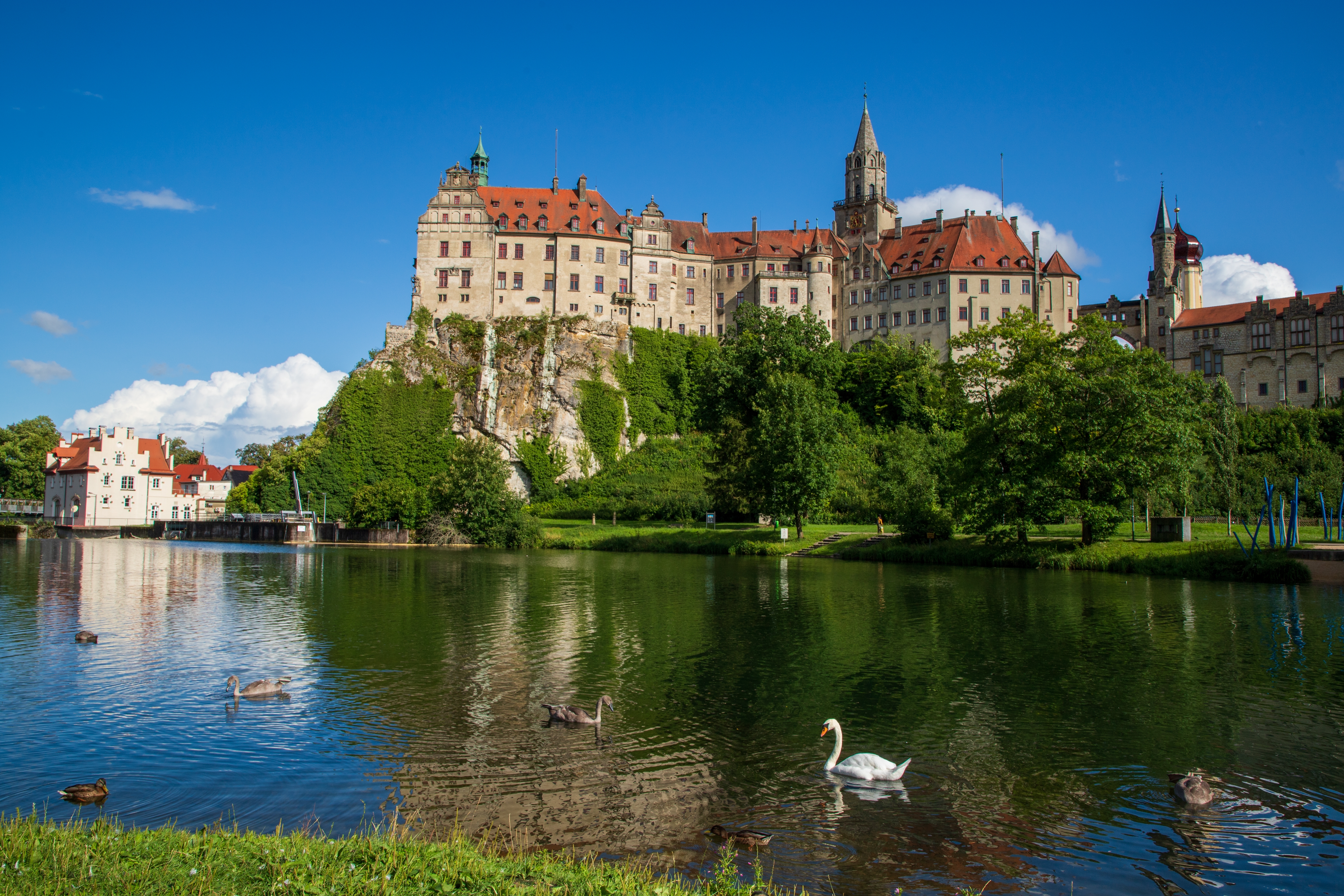 Historisk Sigmaringen Slot i Schwaben, Tyskland, bygget på en klippeskrænt over Donau med svaner og ænder svømmende i det spejlblanke vand omgivet af grønt