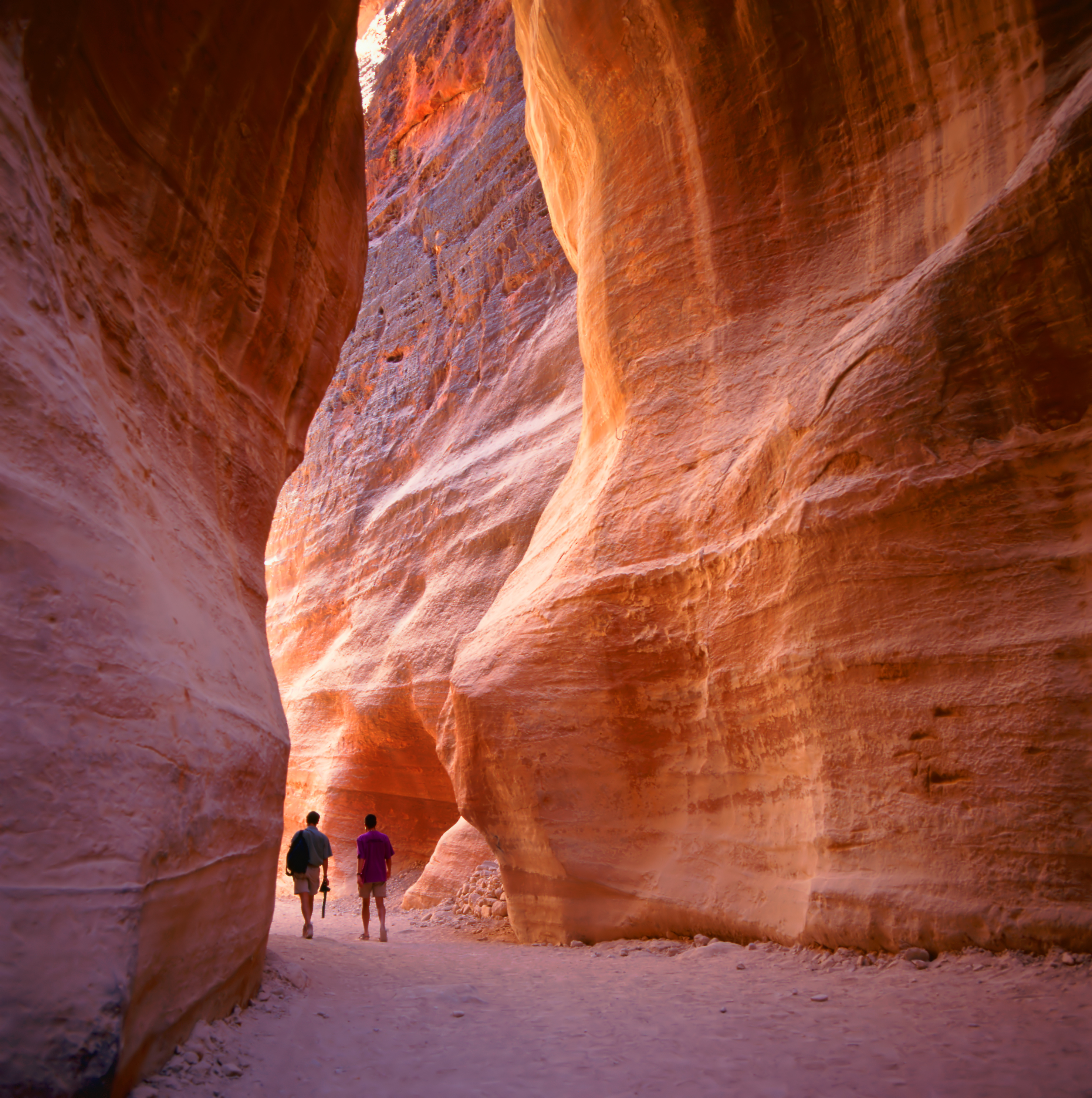 Eventyrrrejsende i den ikoniske Siq canyon ved Petra, Jordans mest berømte turistattraktion