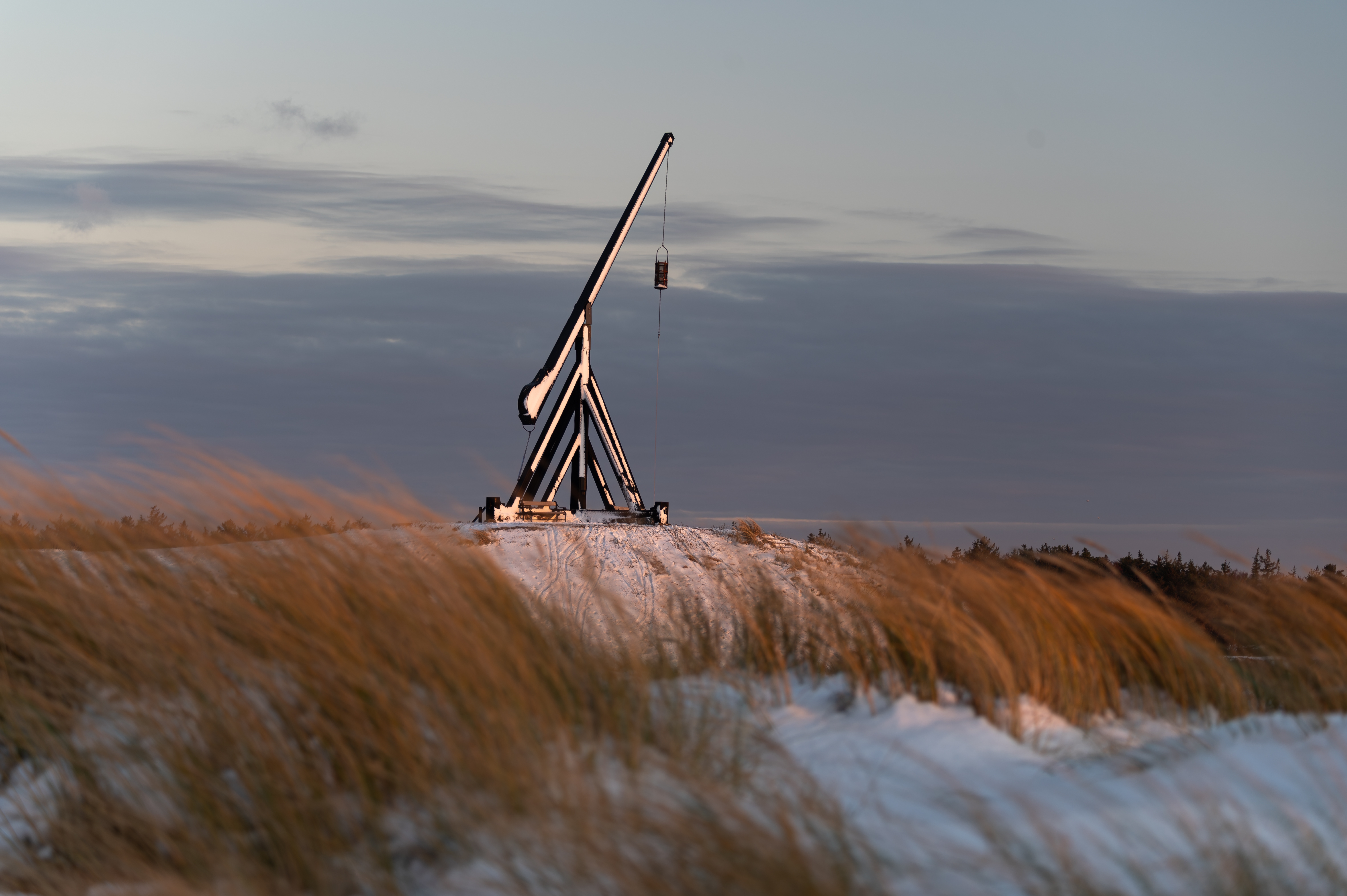 Skagen om vinteren med en dramatisk kranstruktur på snedækkede klitter omgivet af gyldent strandgræs og en pastelfarvet vinterhimmel ved solopgang