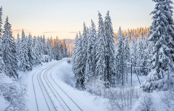 Vinterlandskab med togspor gennem frossen skandinavisk skov