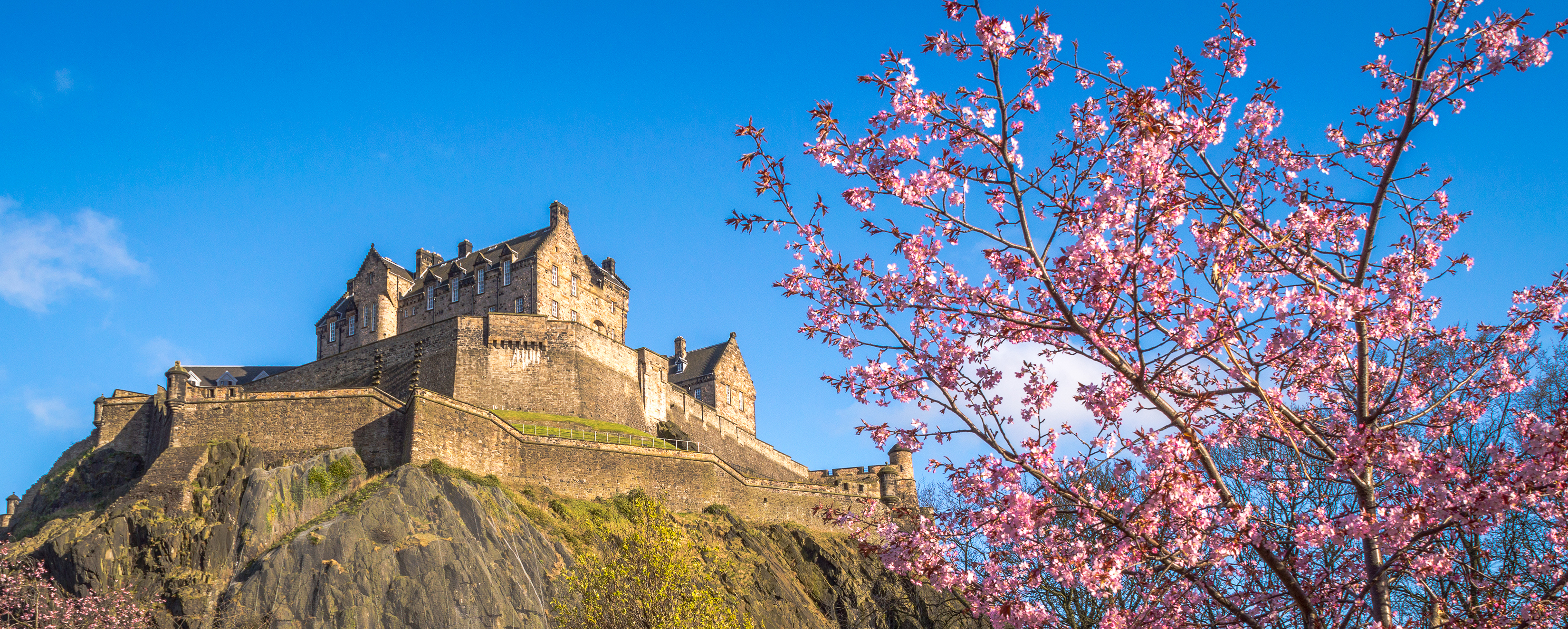 Udsigt til det historiske Edinburgh Castle placeret højt på en klippetop med dekorative lyserøde forårsblomster i Princess Street Gardens, Skotland