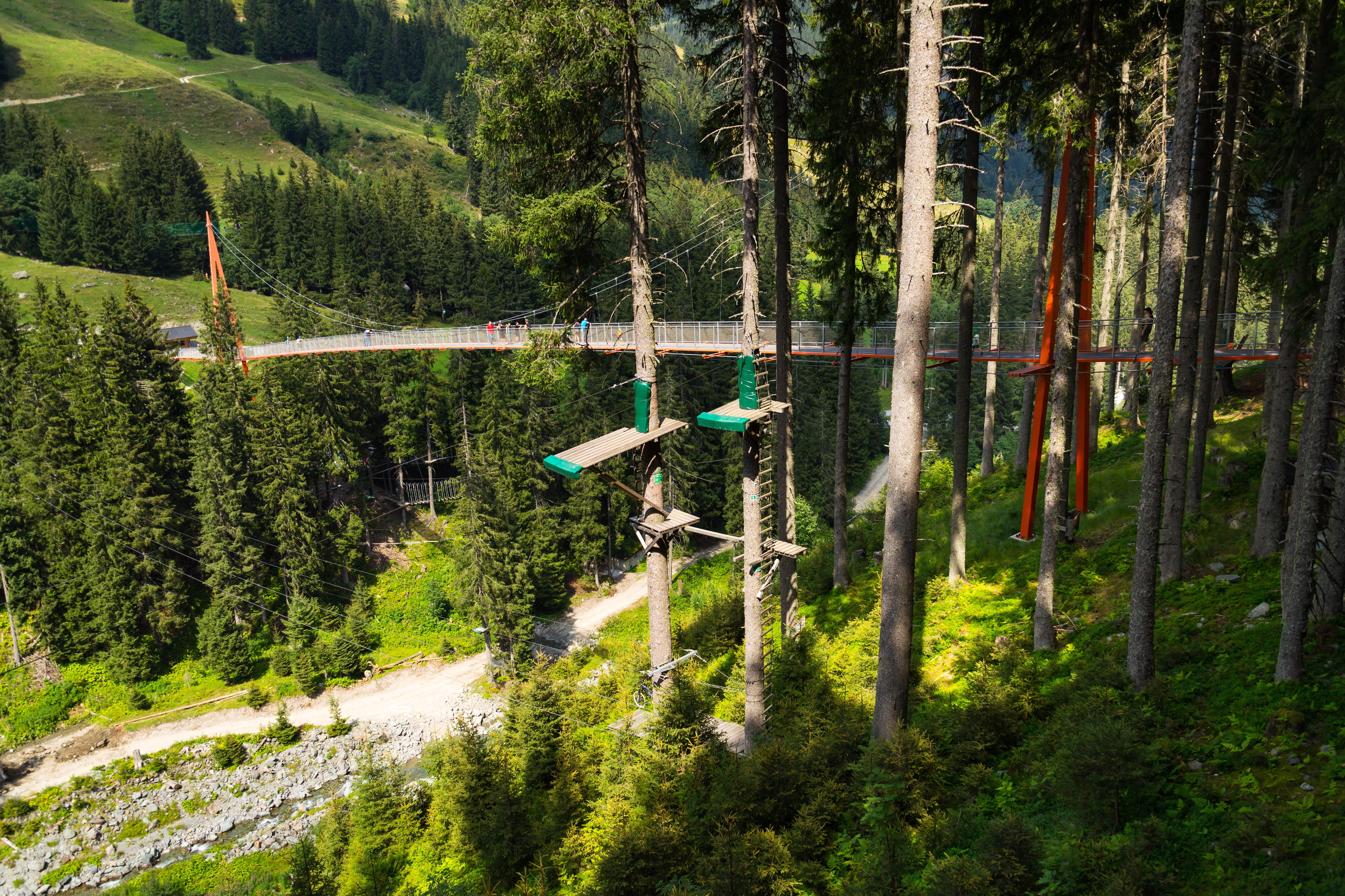 Klatrepark i skoven med tovbaner og platforme omgivet af alpin natur og grønne bjerge