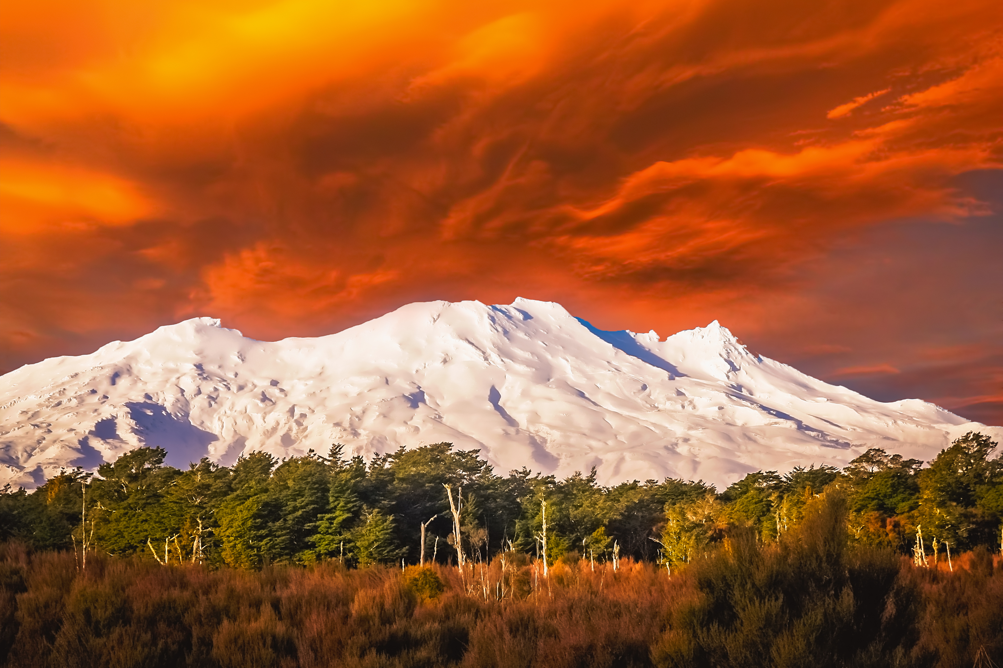 Majestætisk snedækt Mount Ruapehu vulkan med spektakulær orange himmel og frodig skov, New Zealand vildmark